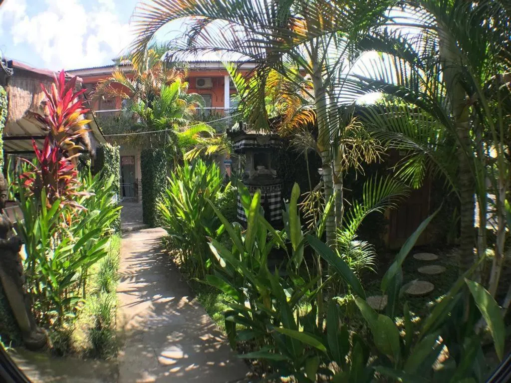 Garden in Canggu Pinpoint Rooms