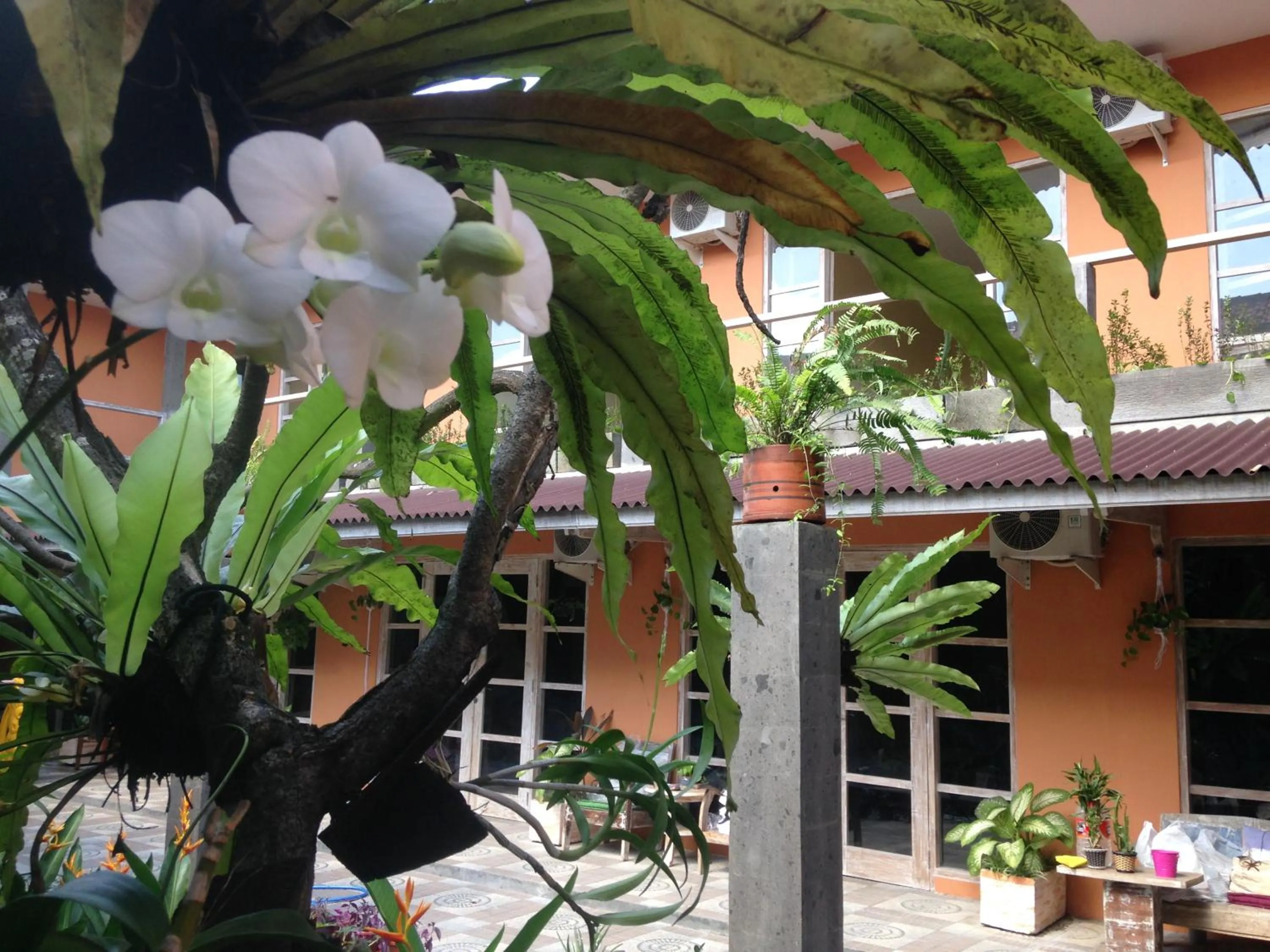 Facade/entrance in Canggu Pinpoint Rooms