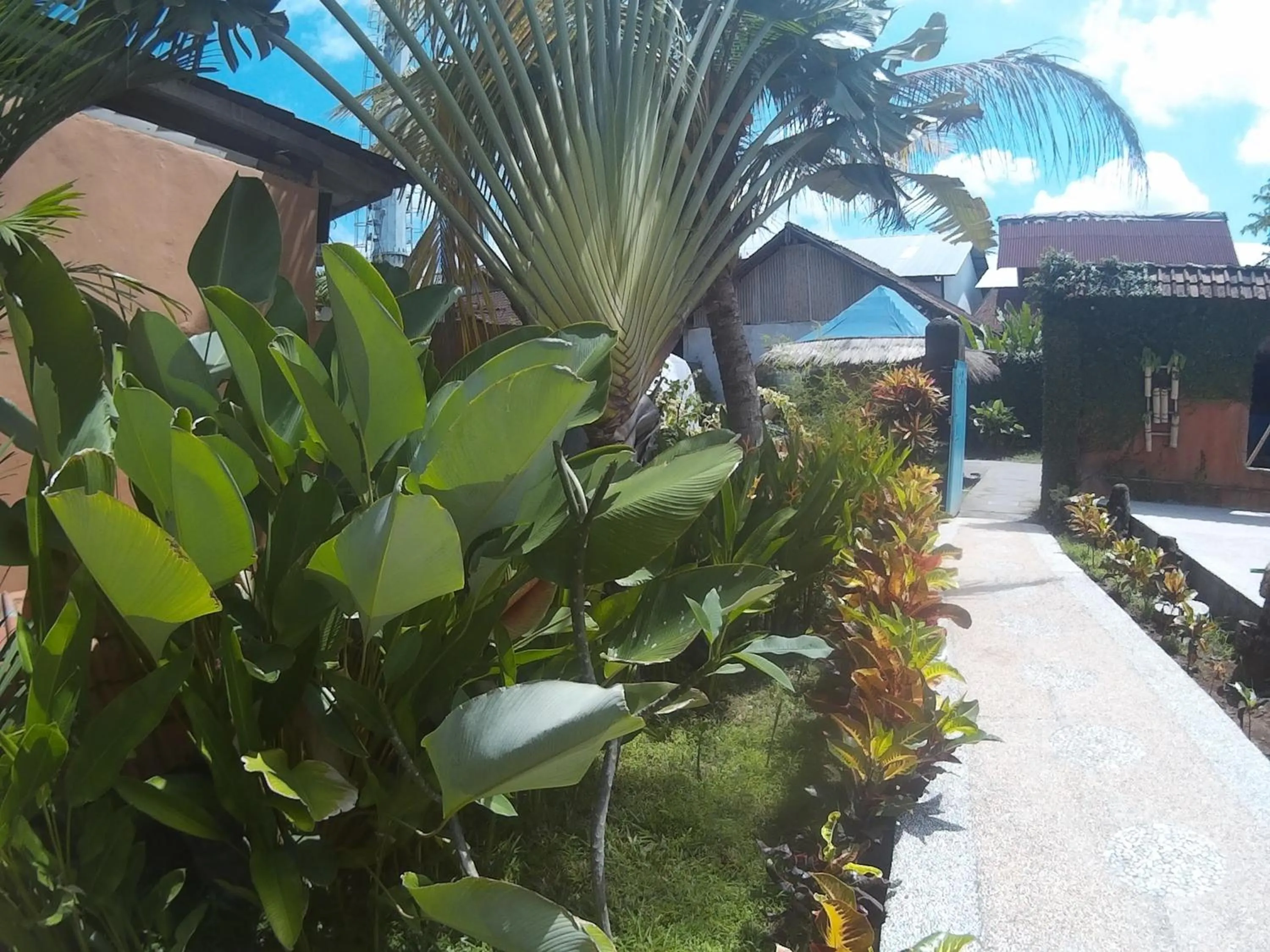 Garden view in Canggu Pinpoint Rooms