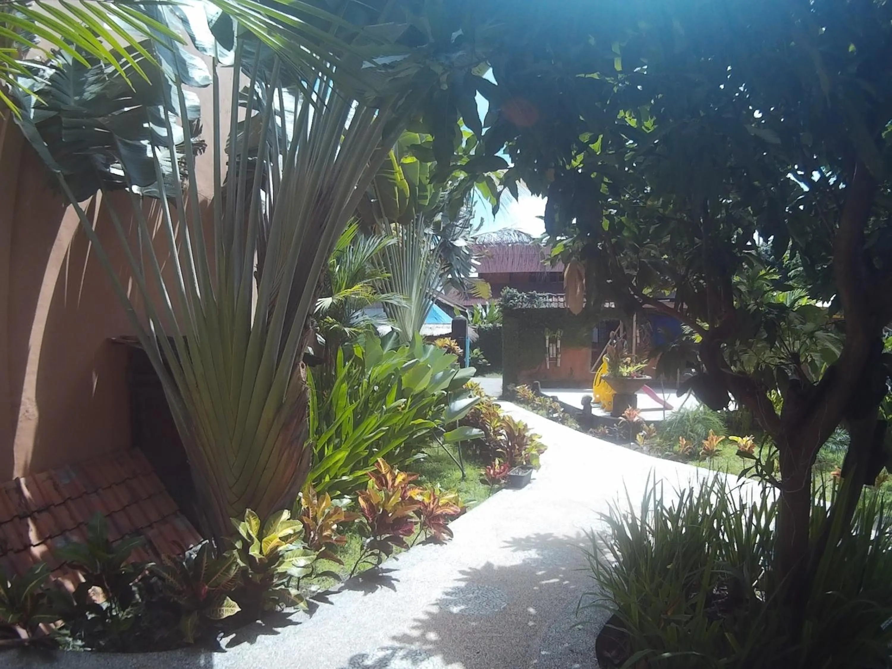 Garden in Canggu Pinpoint Rooms