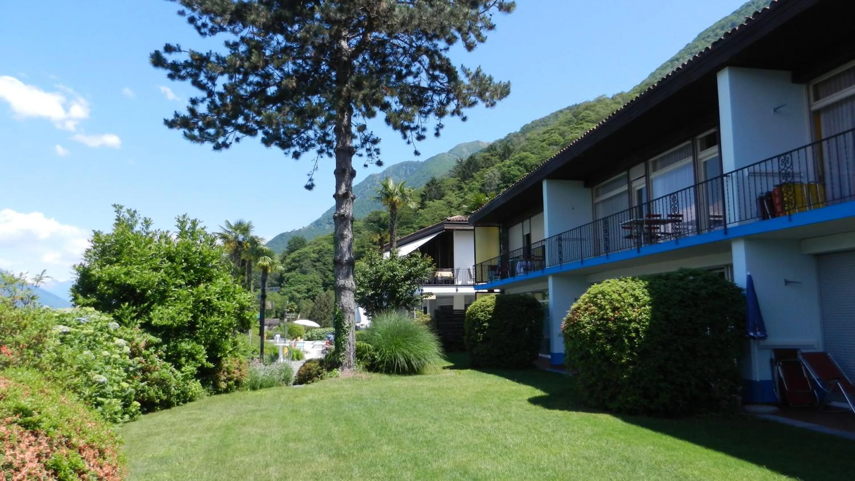 Garden in Hotel La Campagnola - Green Energy Resort