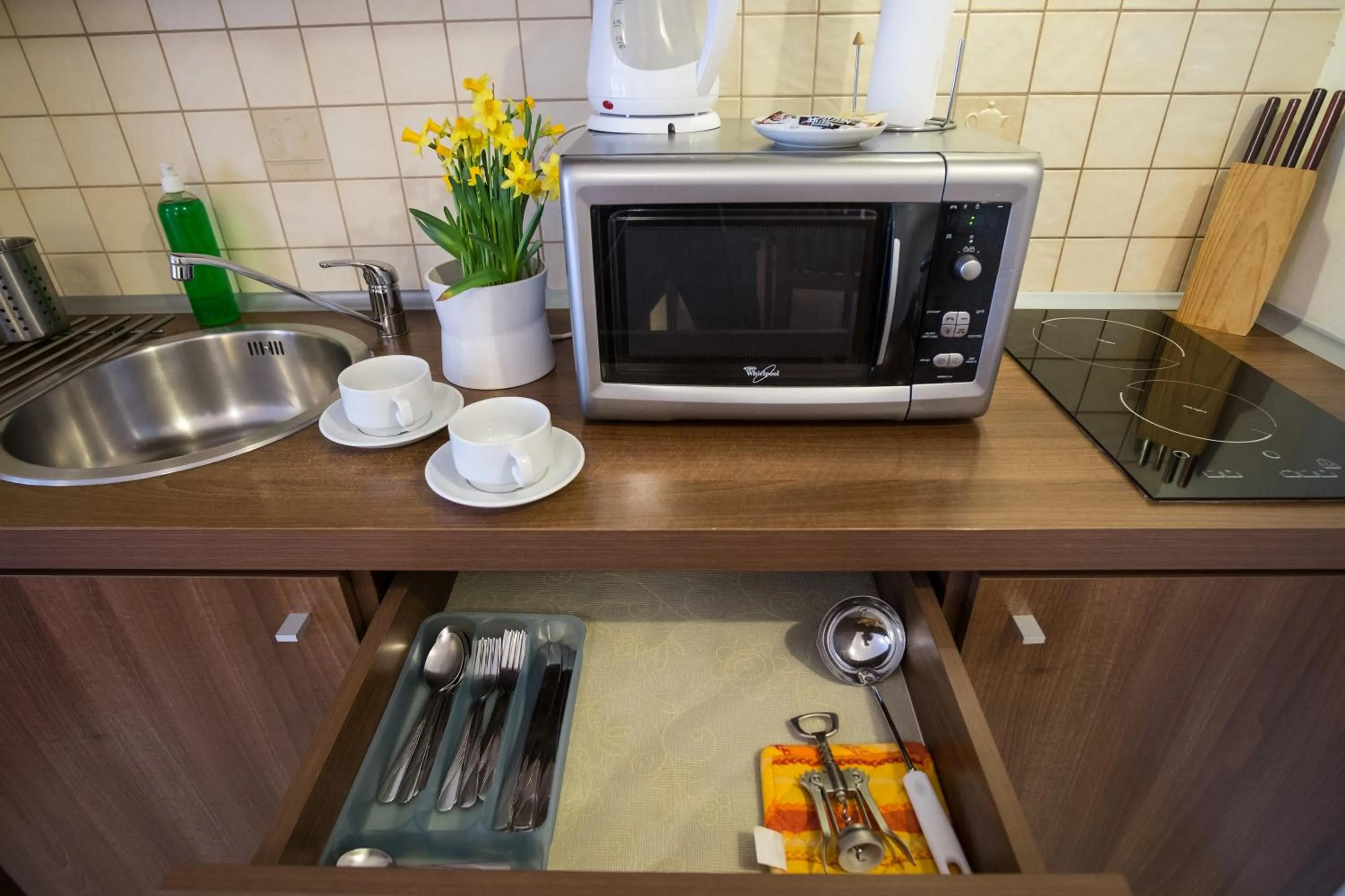 Kitchen or kitchenette in Aparthotel Bellamonte