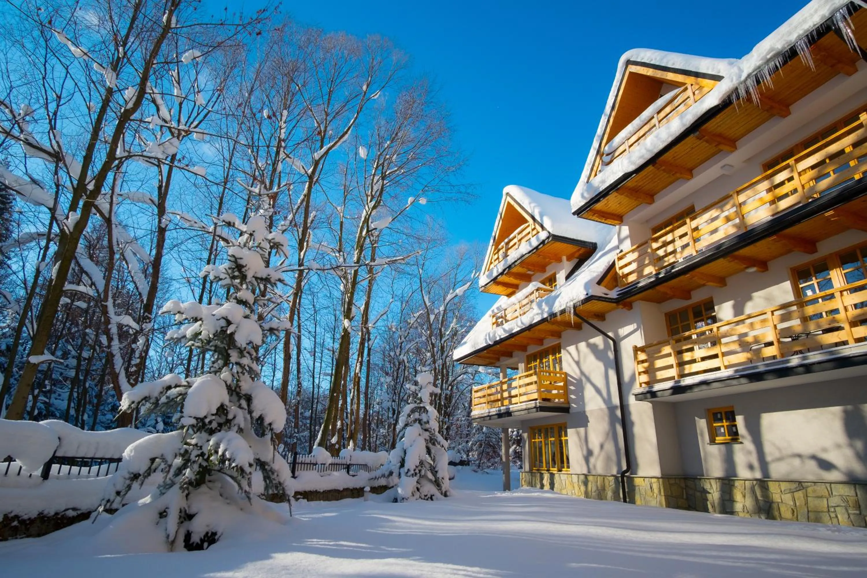 Property building in Aparthotel Bellamonte