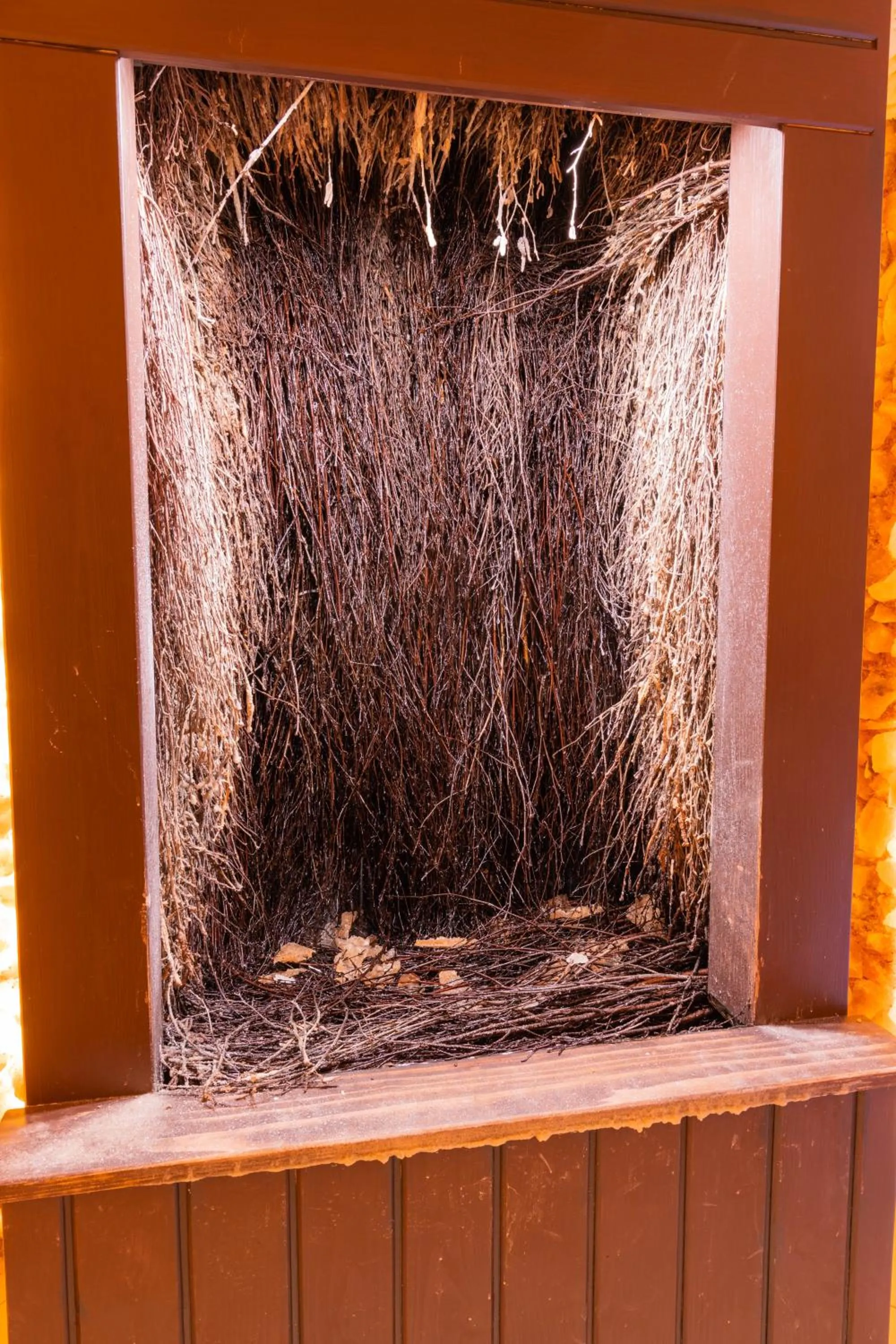 Day in Aparthotel Bellamonte