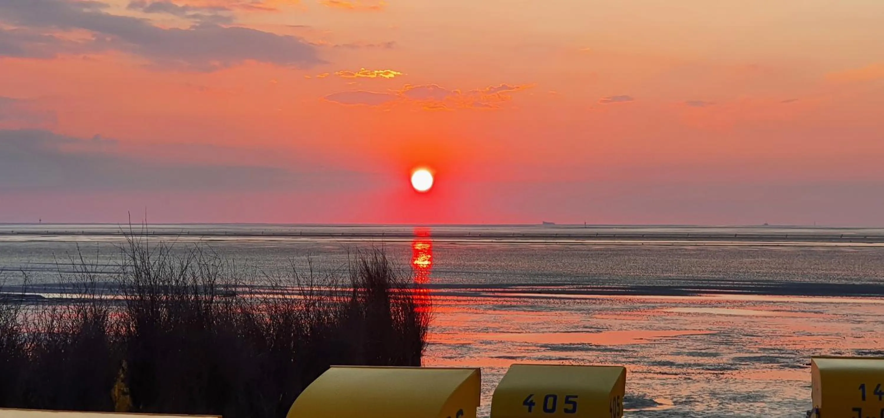 Beach in Hotel Seemeile