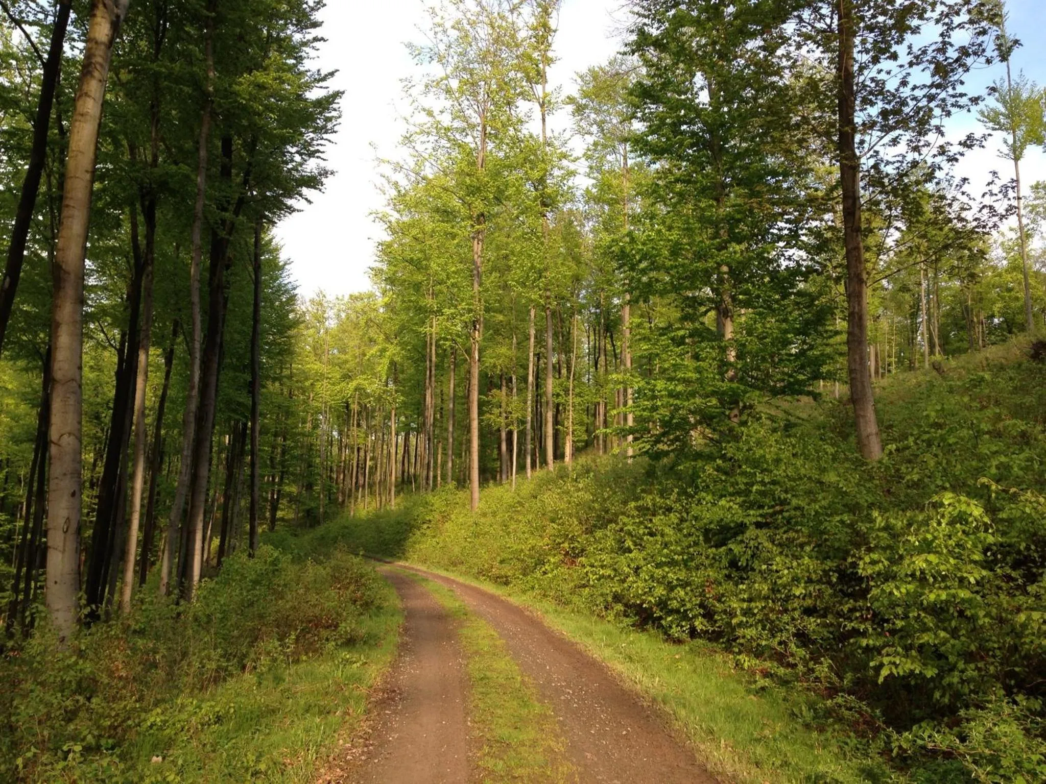 Hiking in Hotel Zum Kanzler