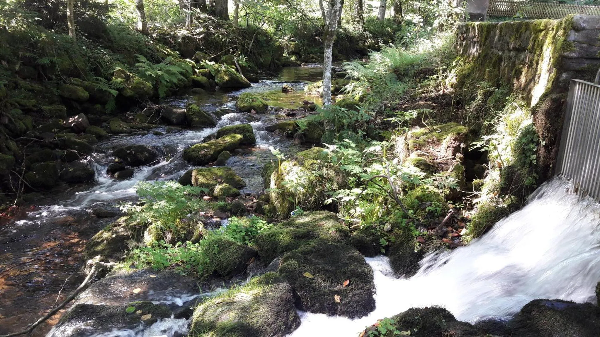 Natural landscape in Nashira Kurpark Hotel