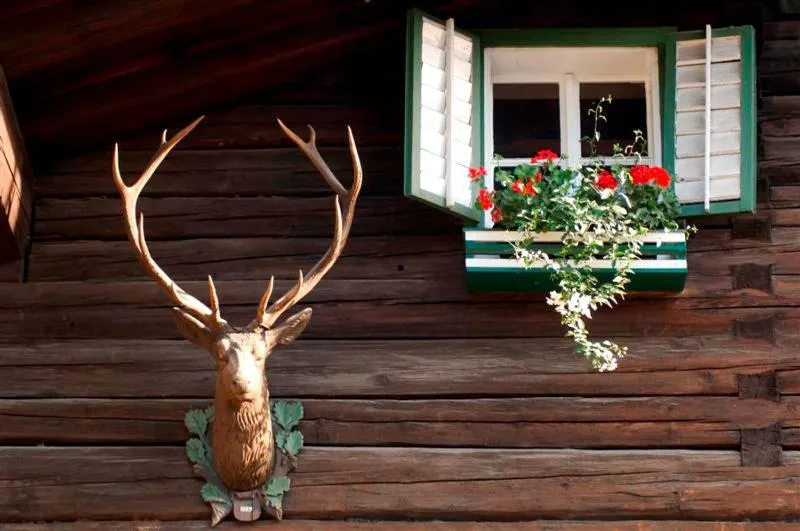 Property building in Hotel Gasthof Markterwirt