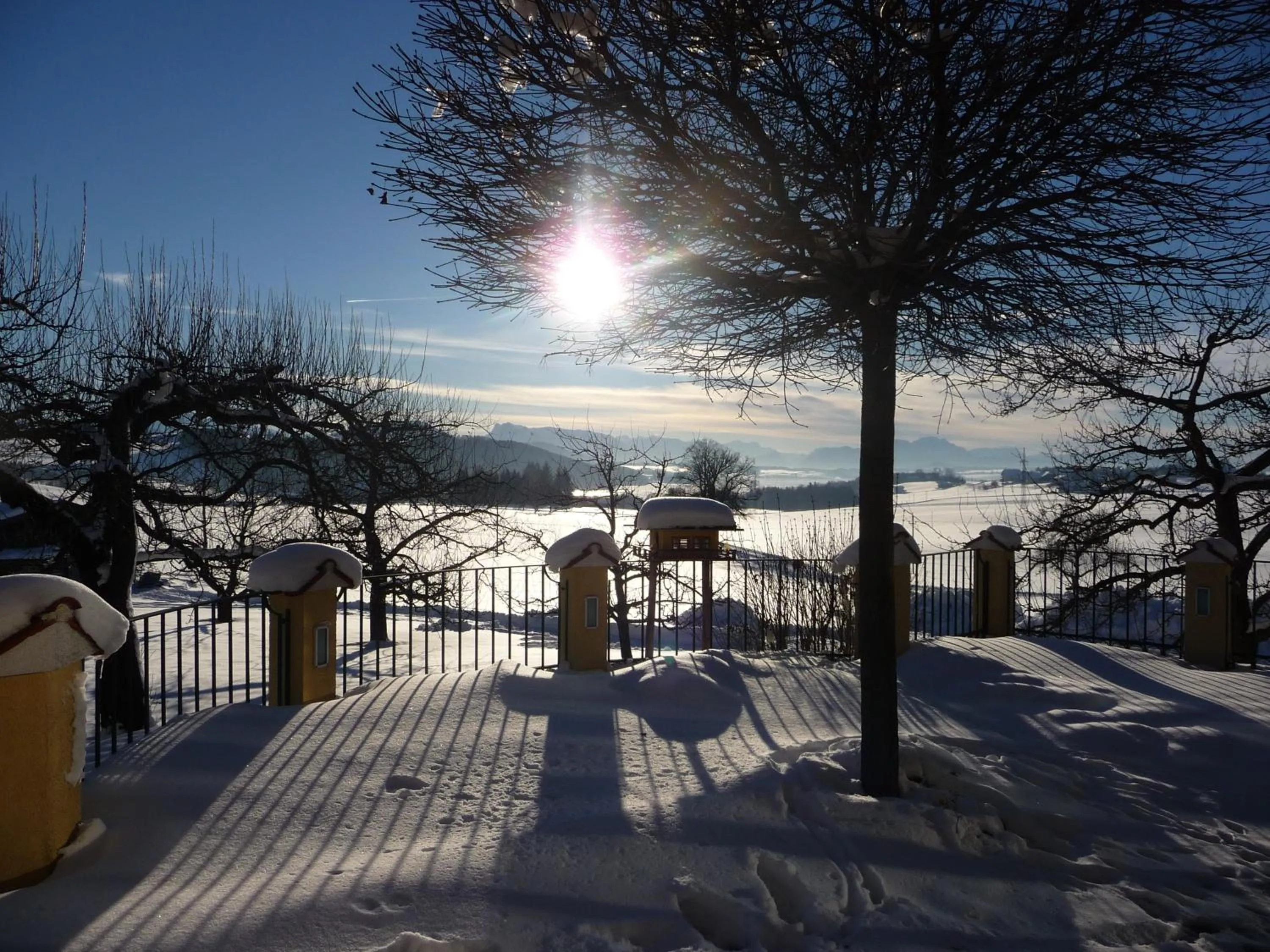 Garden in Ferienhotel Herzog