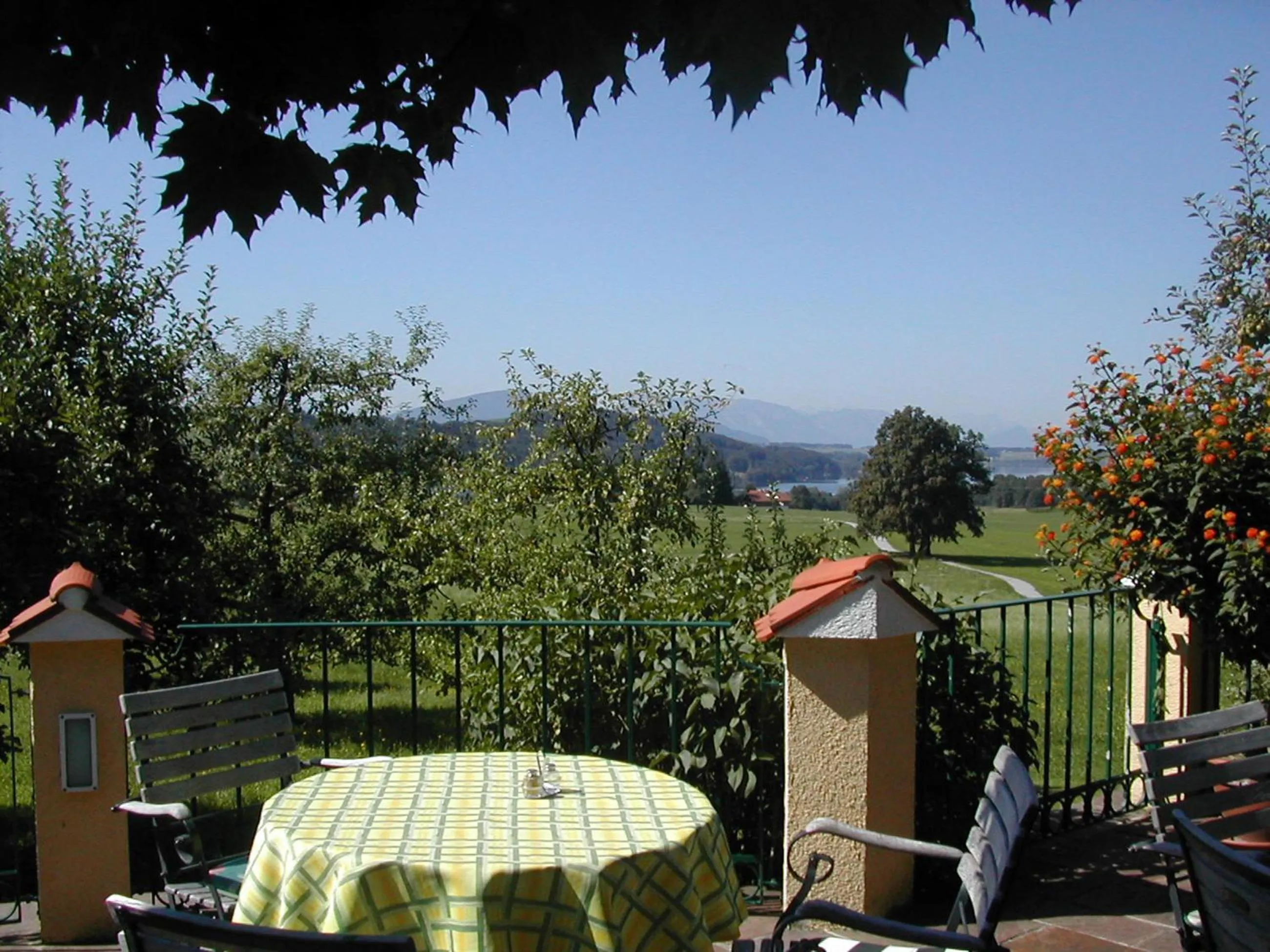 Balcony/Terrace in Ferienhotel Herzog