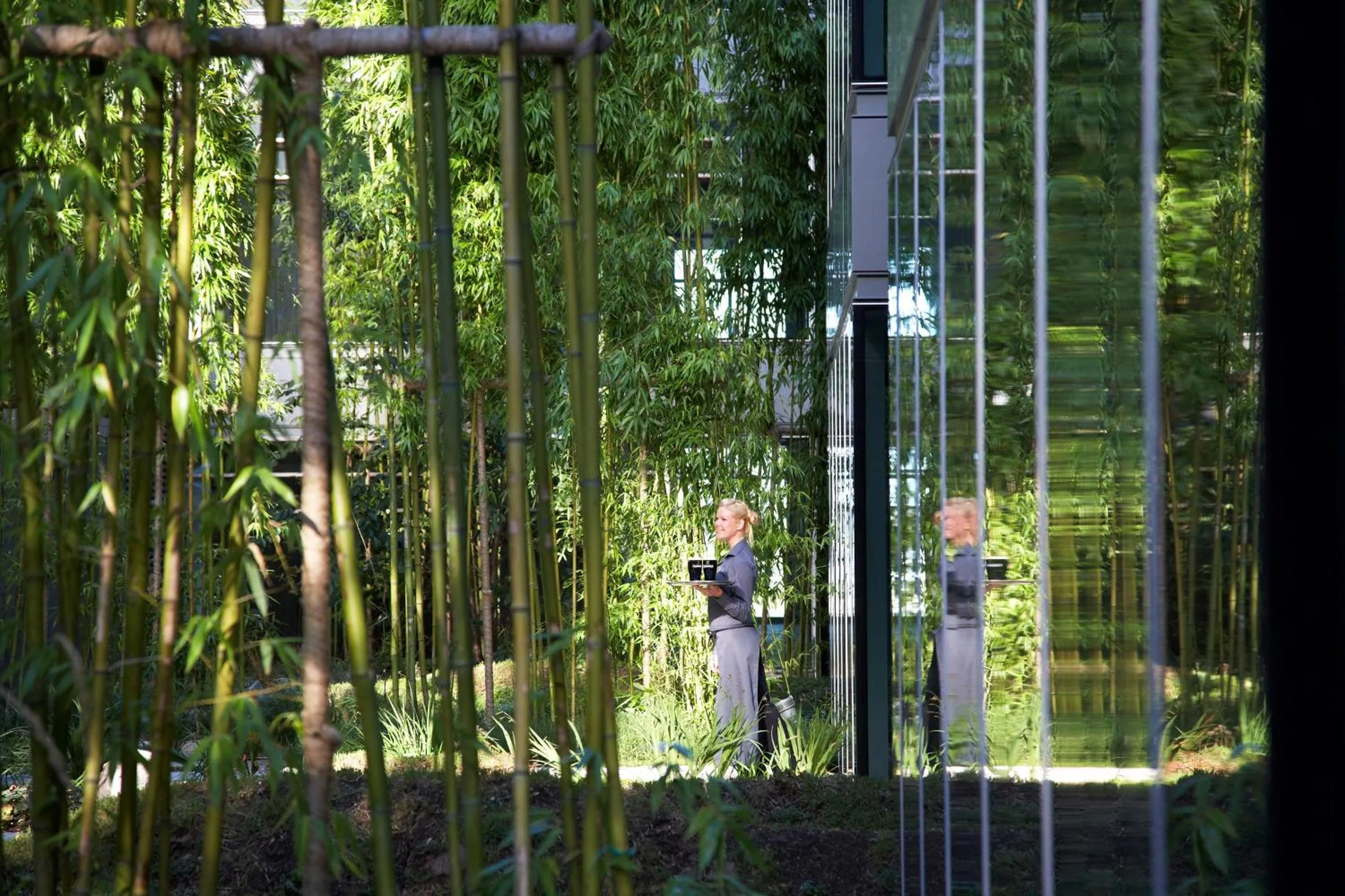 Staff in The Gibson Hotel