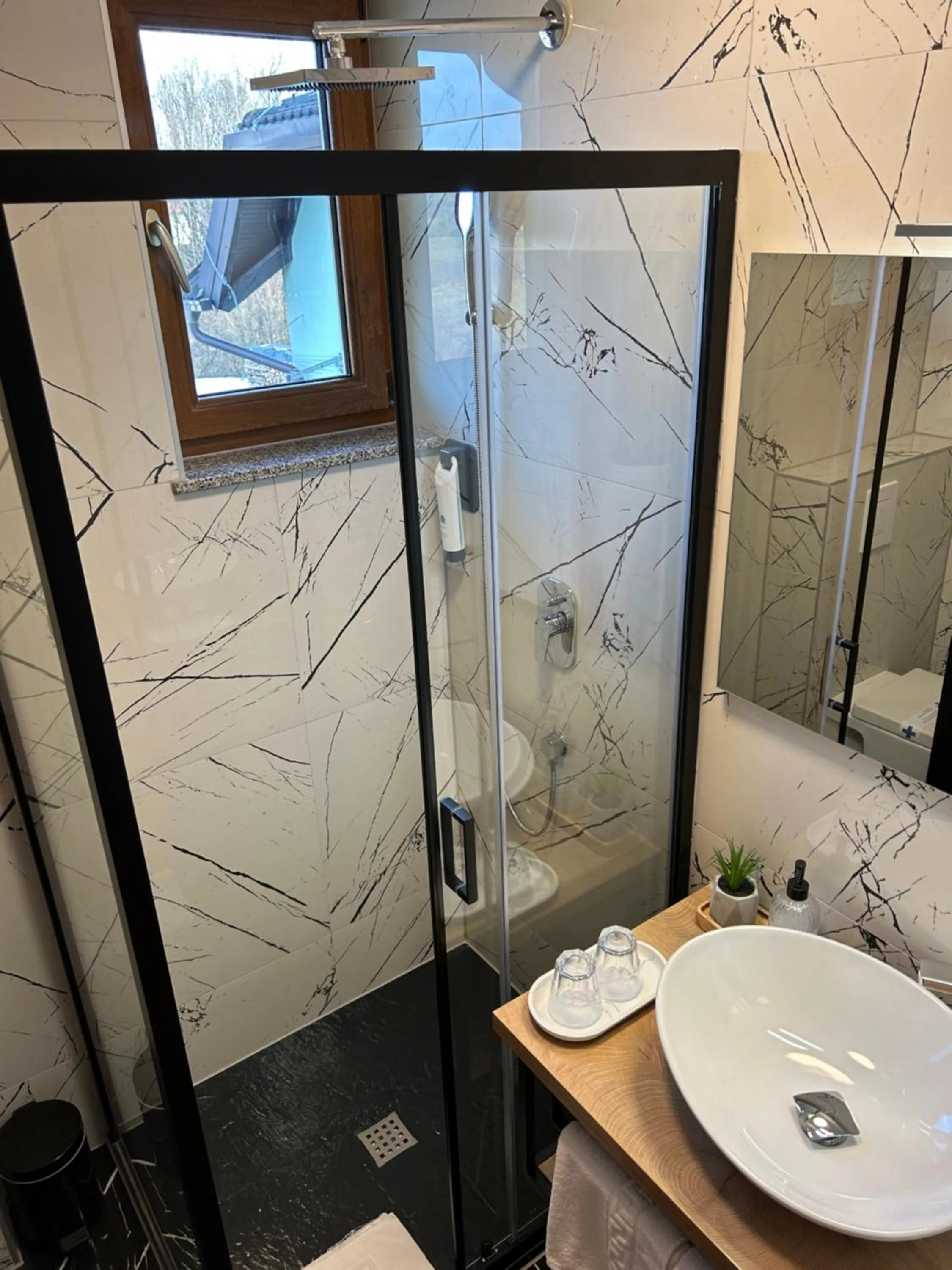 Double Room in Pansion Villa Cancar