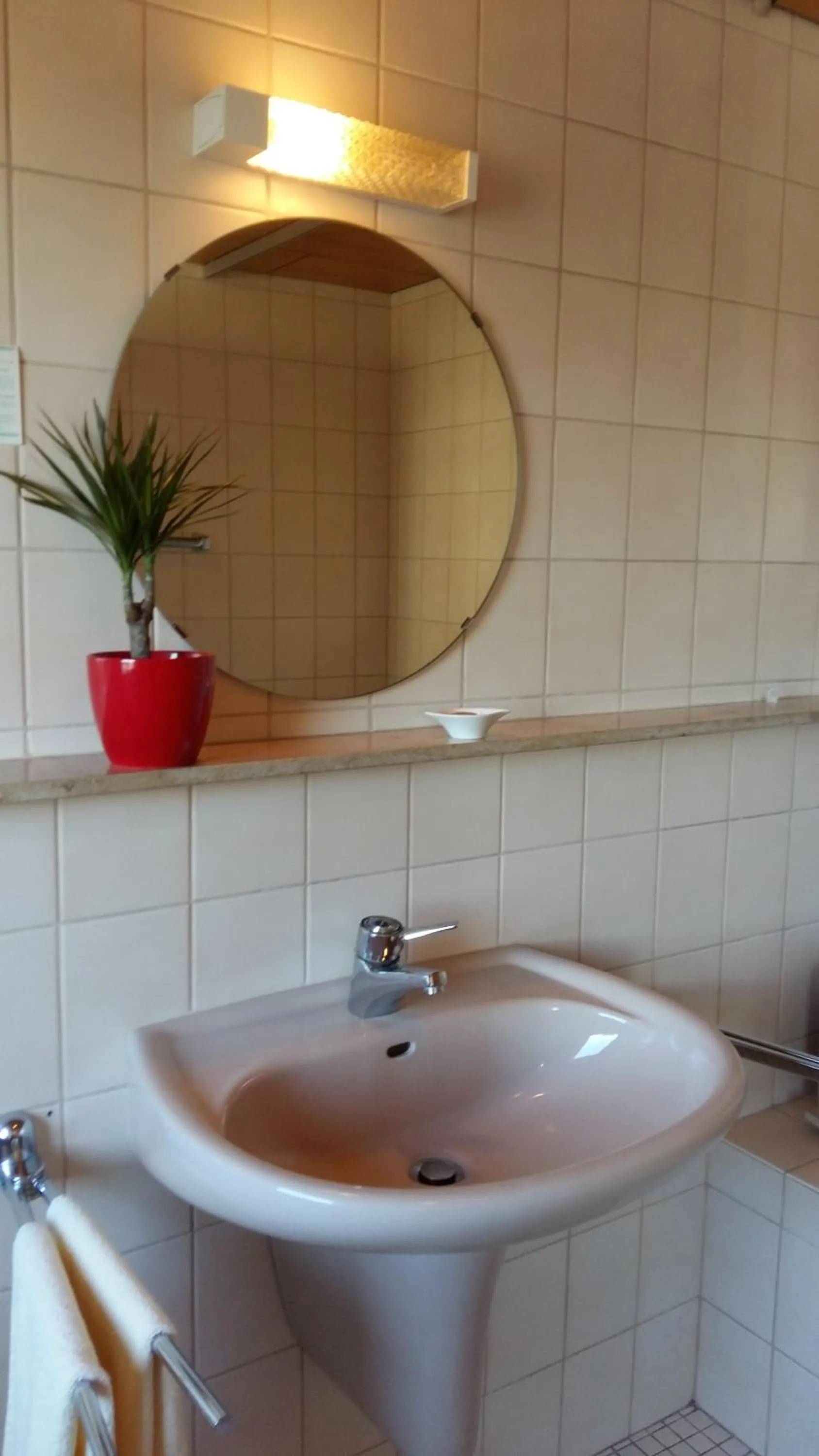 Bathroom in Landgasthof Grüner Baum