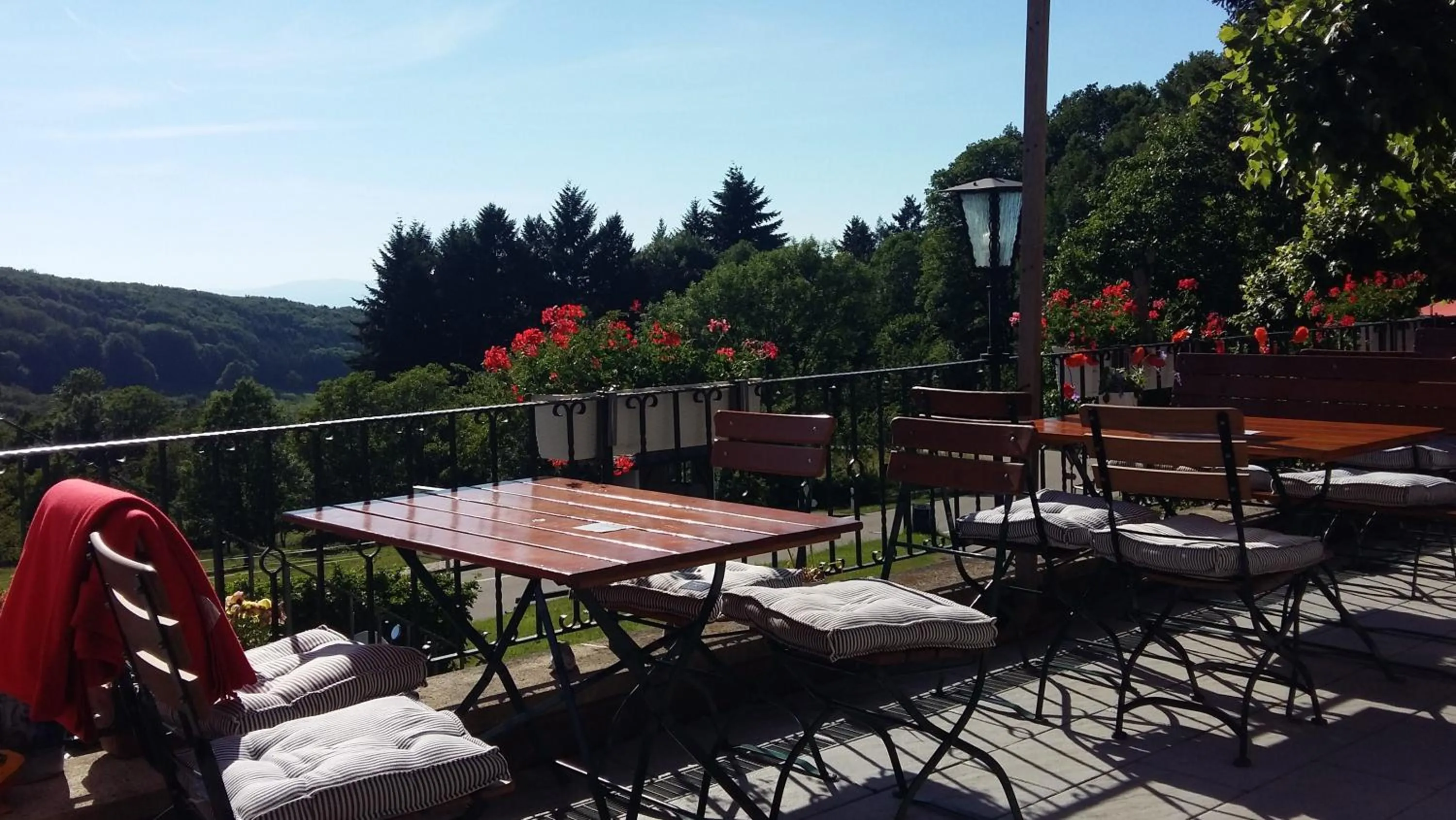 Restaurant/places to eat in Landgasthof Grüner Baum