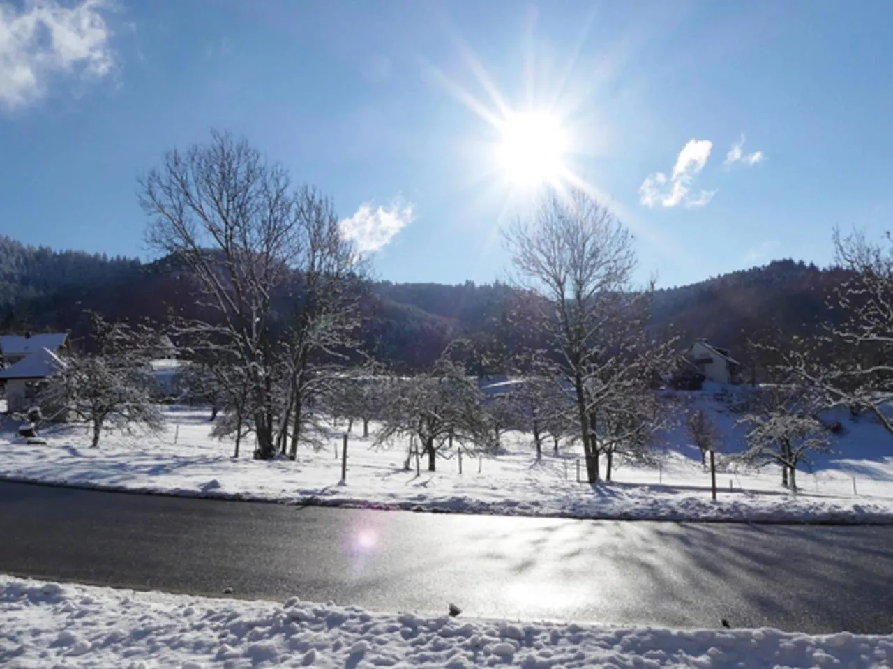 Natural landscape in Landgasthof Grüner Baum