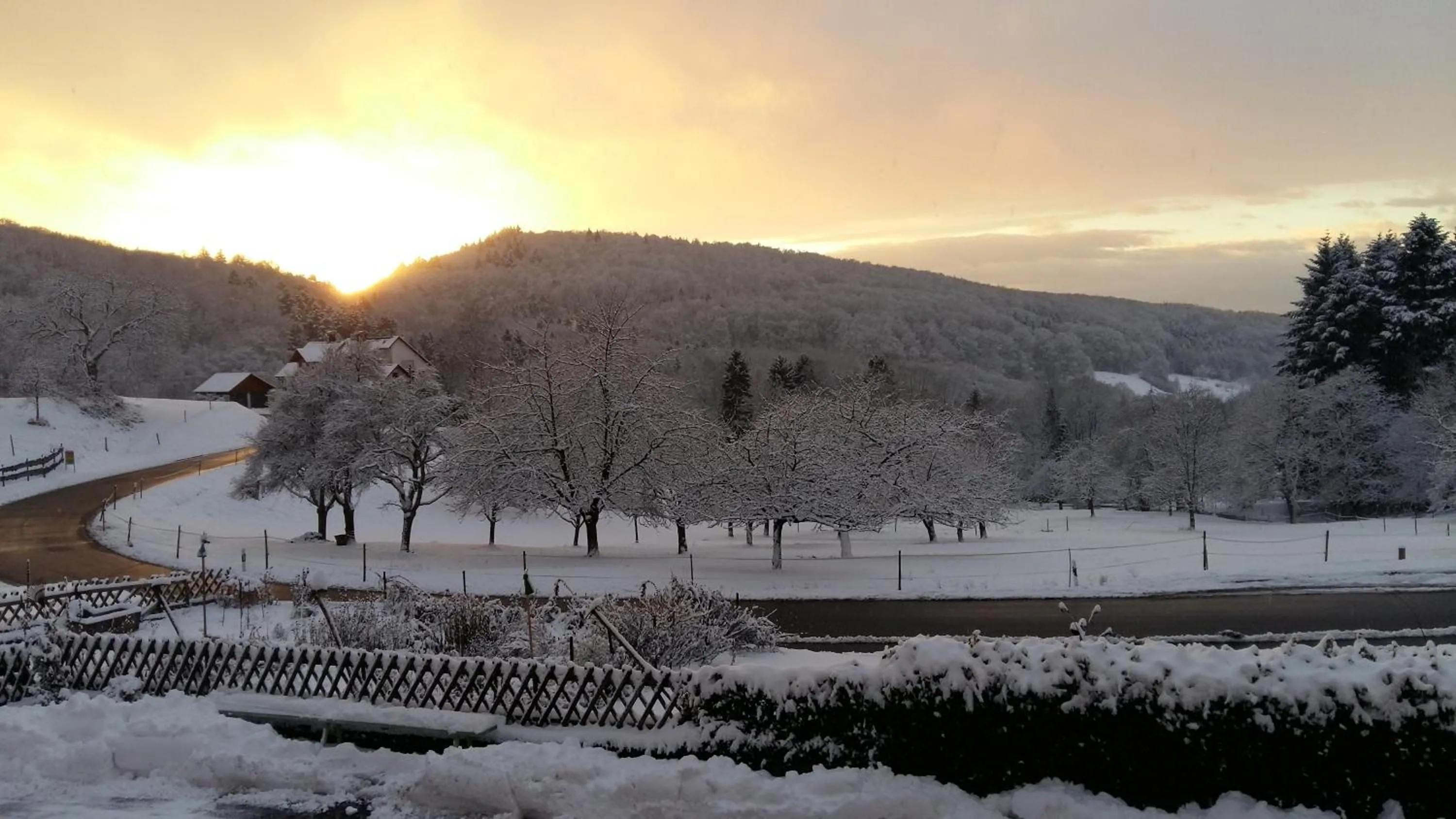 Natural landscape in Landgasthof Grüner Baum
