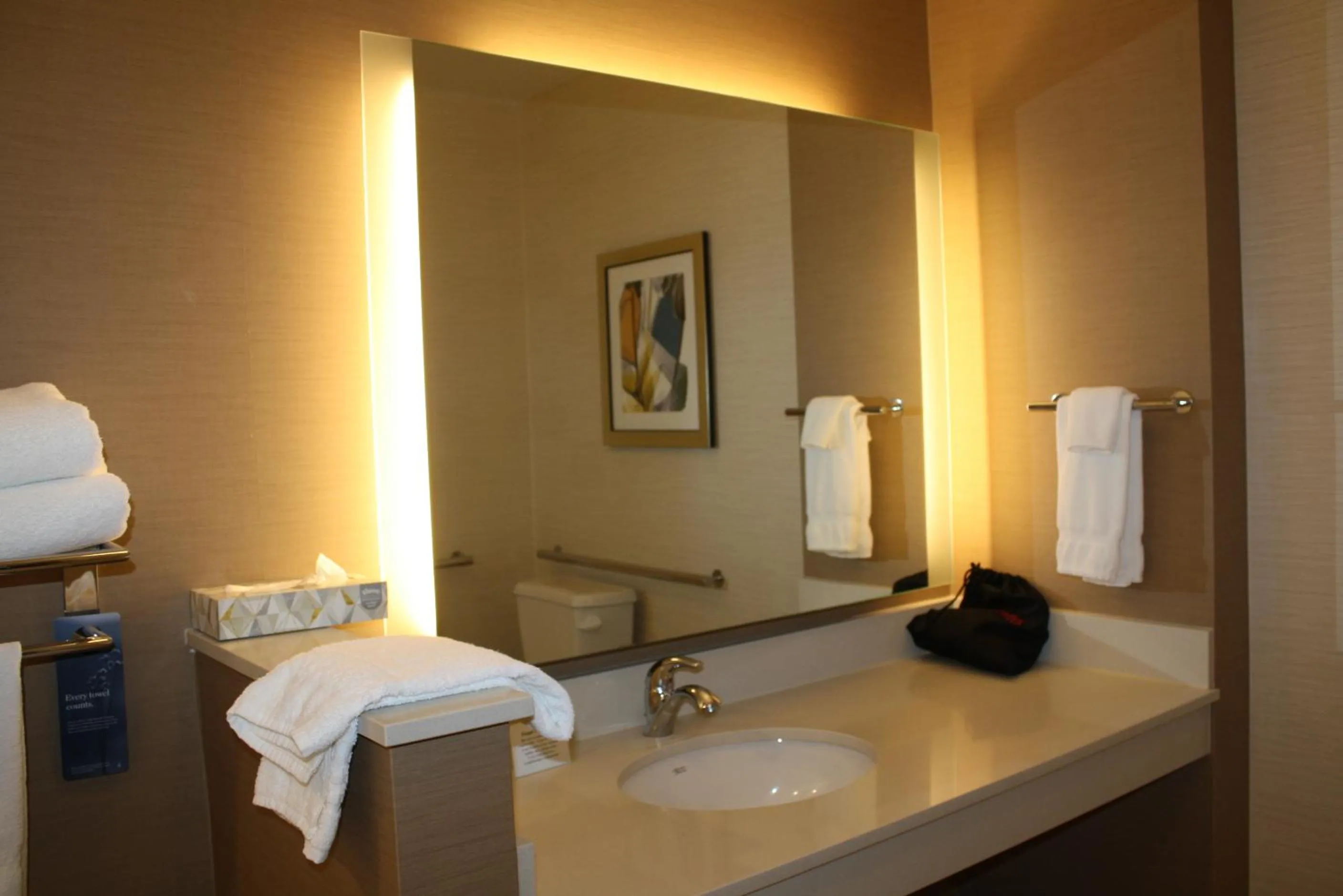 Bathroom in Fairfield Inn & Suites by Marriott Detroit Lakes