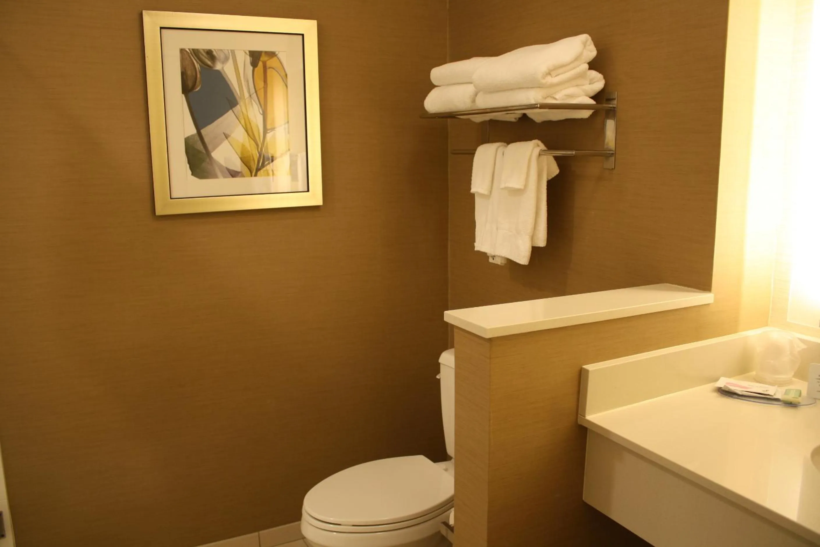 Toilet in Fairfield Inn & Suites by Marriott Detroit Lakes