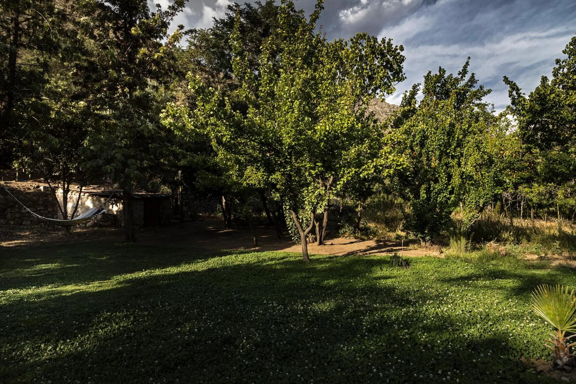 Garden in Casona El Resguardo