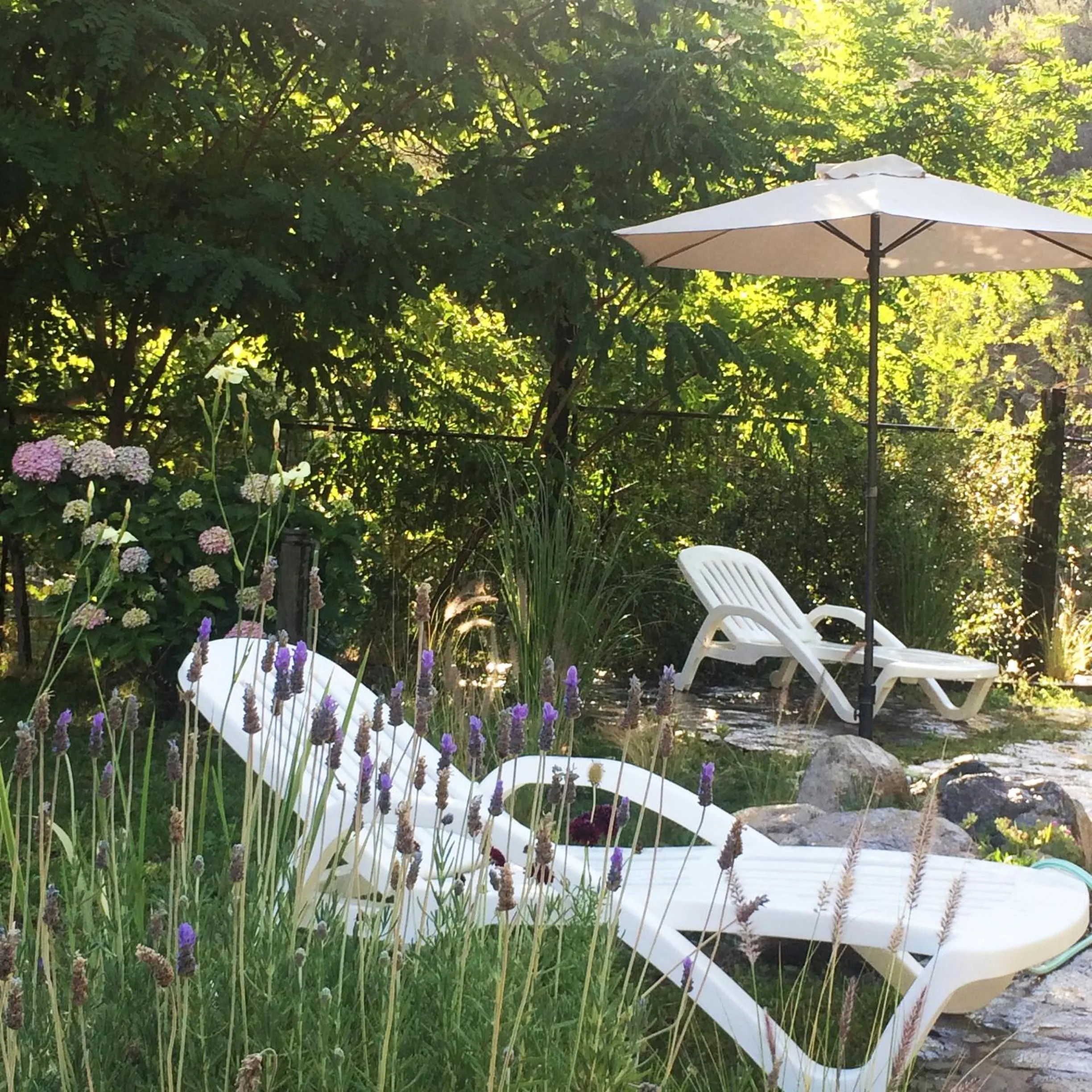 Spring in Casona El Resguardo