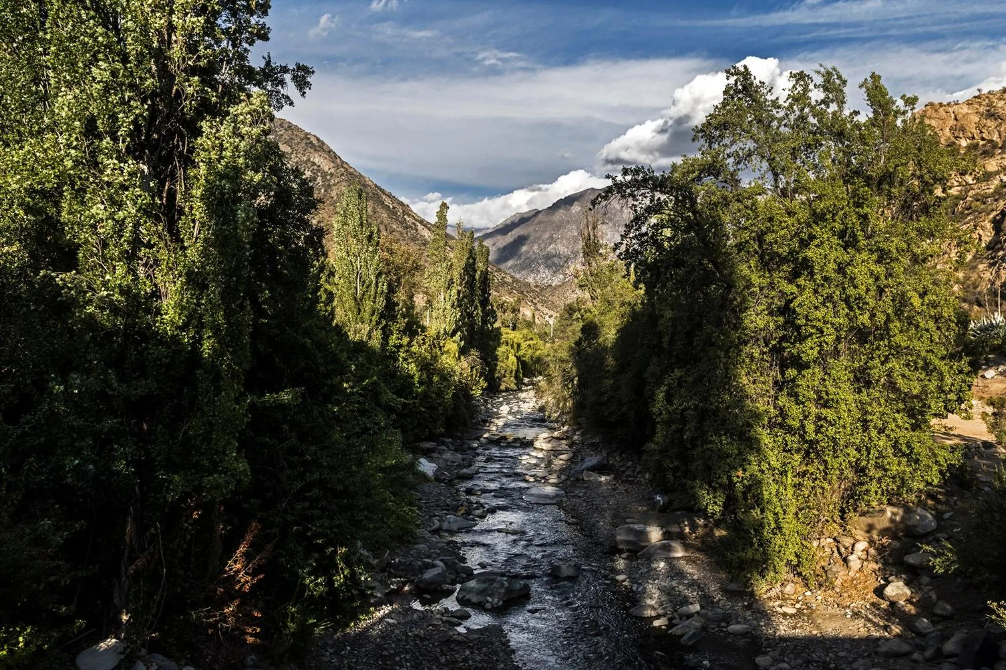 Garden in Casona El Resguardo
