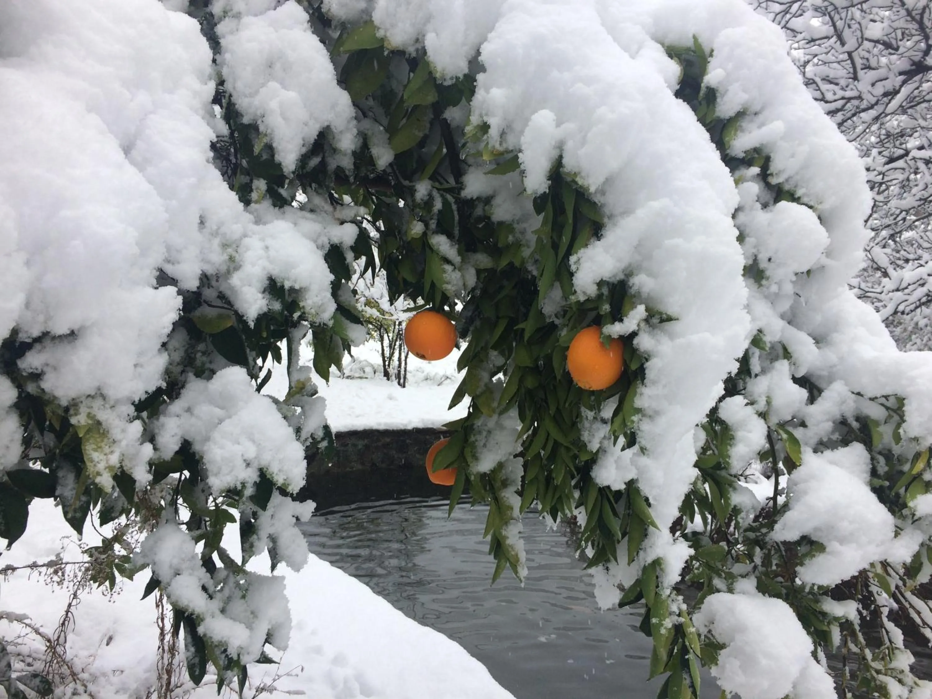 Day in Casona El Resguardo