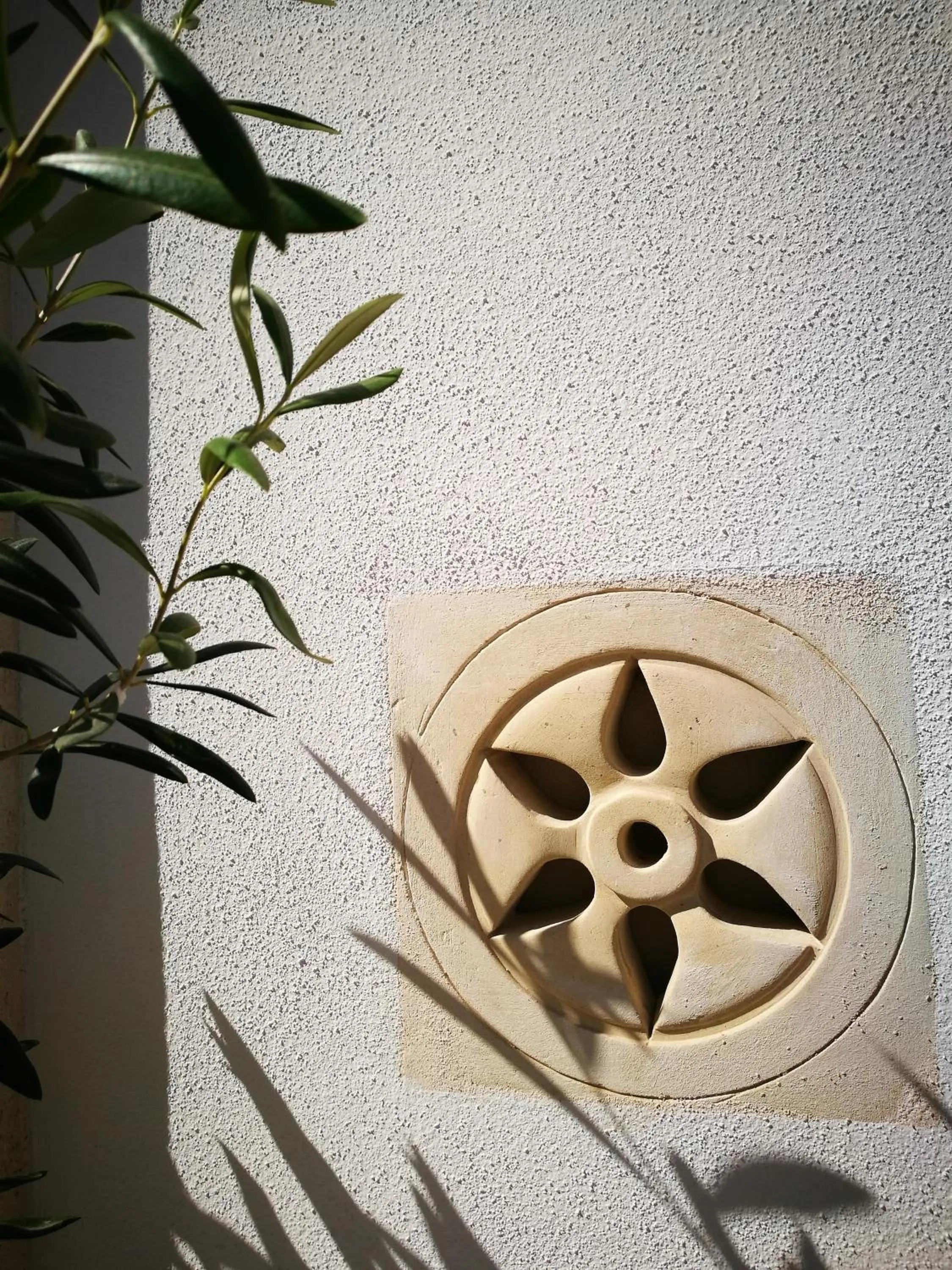 Balcony/Terrace in TerraViva B&B