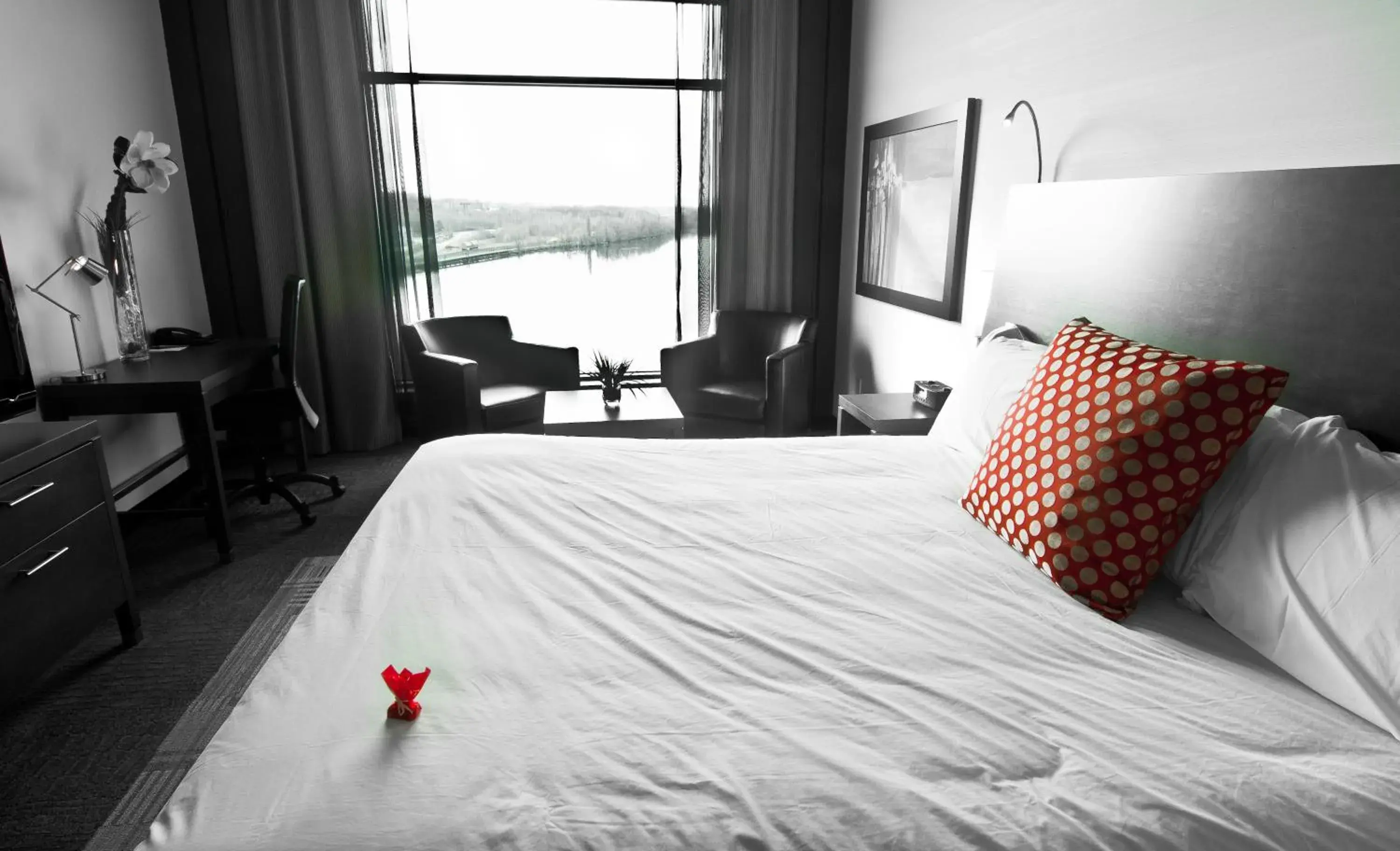 Deluxe King Room - single occupancy in Grand Hotel Times Sherbrooke Deluxe King Room - single occupancy in Grand Hotel Times Sherbrooke