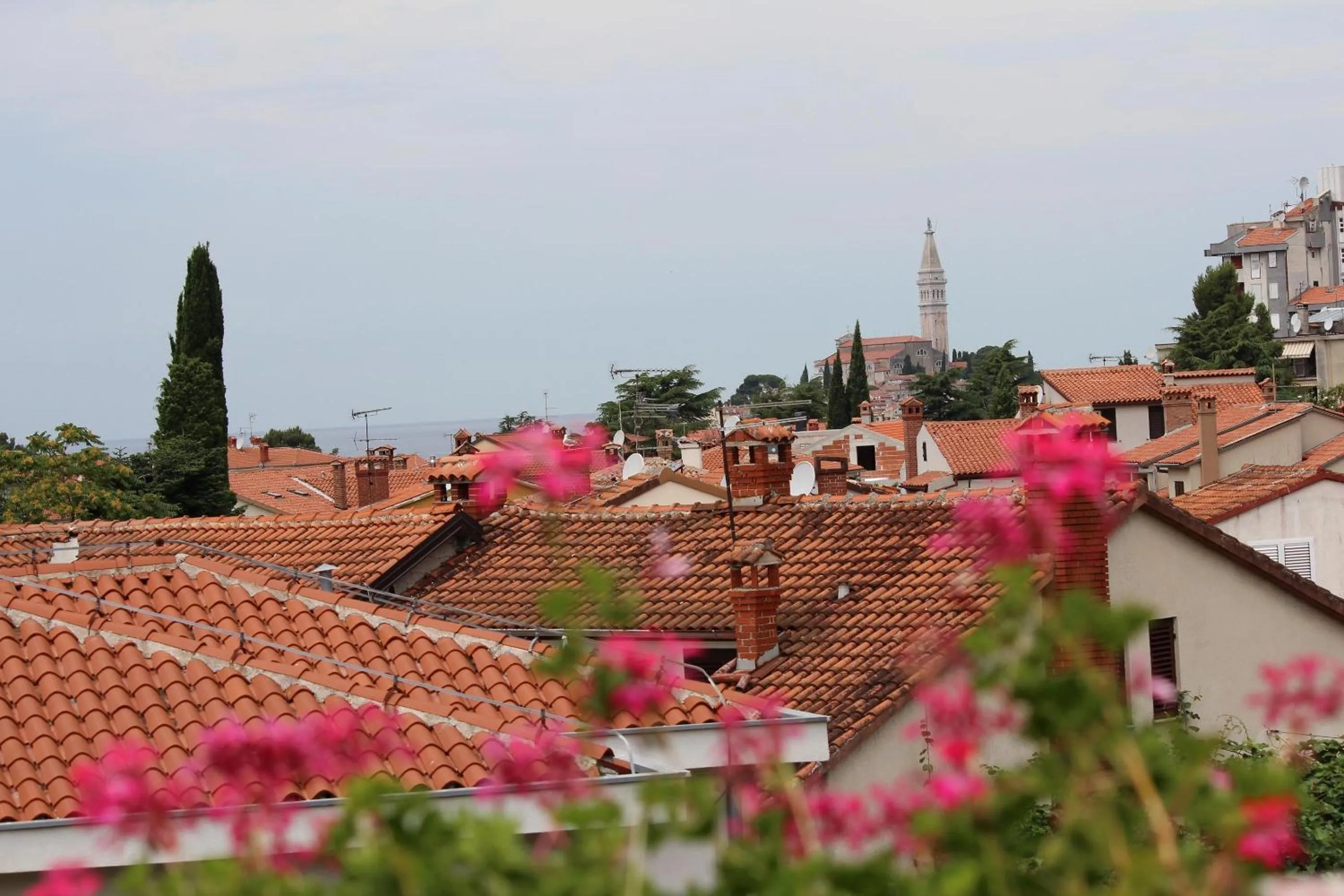 City view in Apartments Tanja