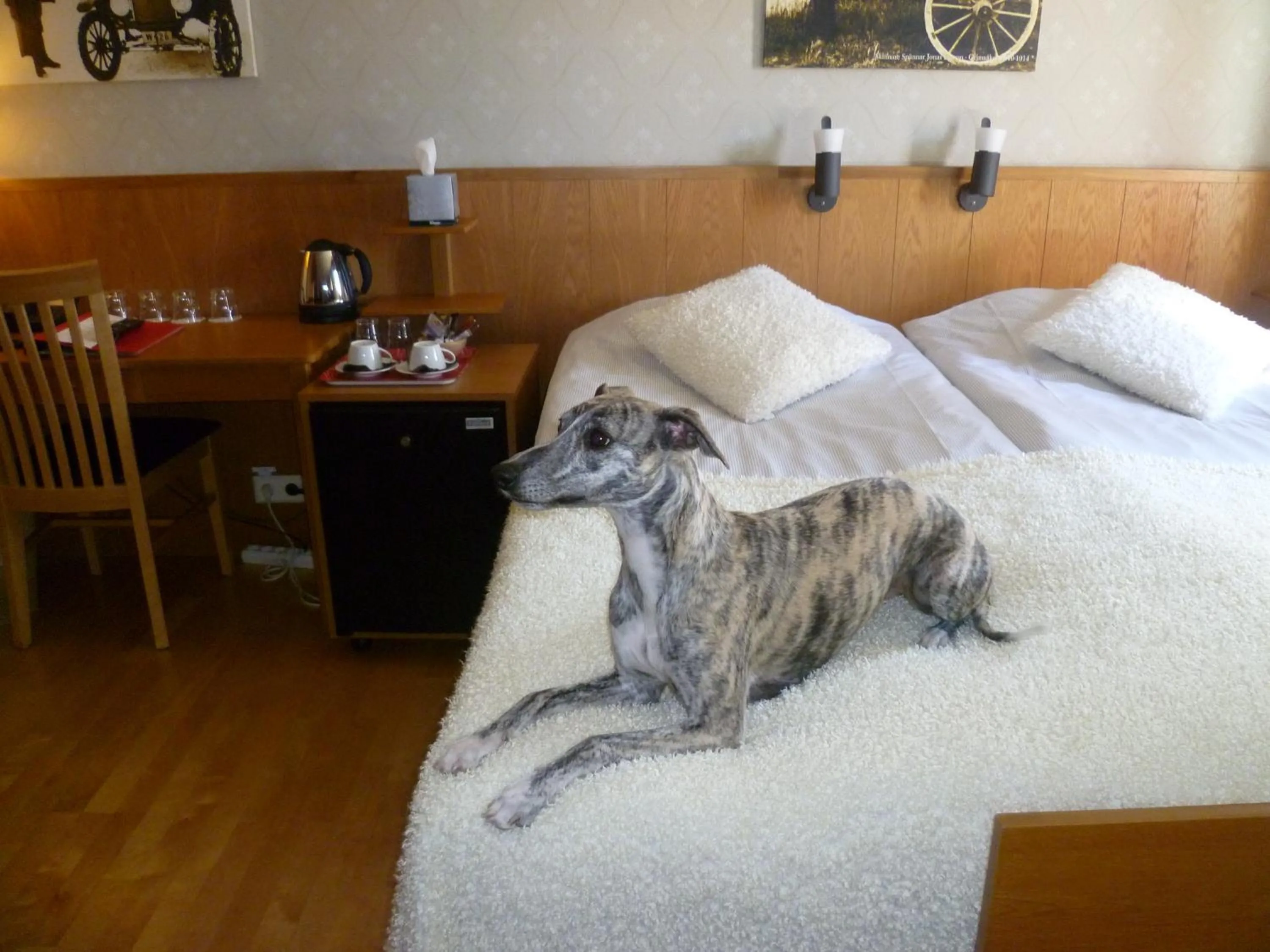 Bed in Sankt Olof Hotell & Krog