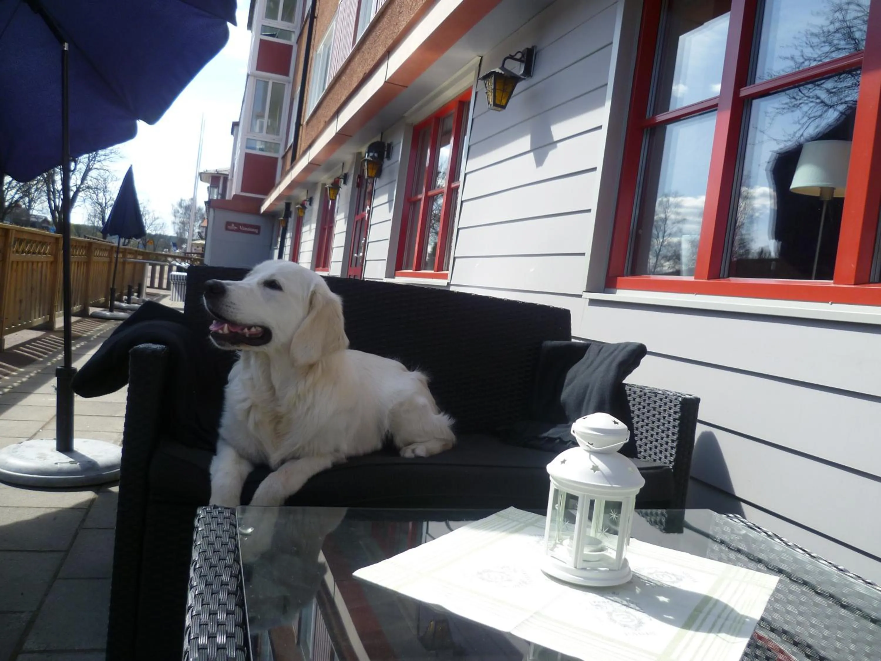 Patio in Sankt Olof Hotell & Krog