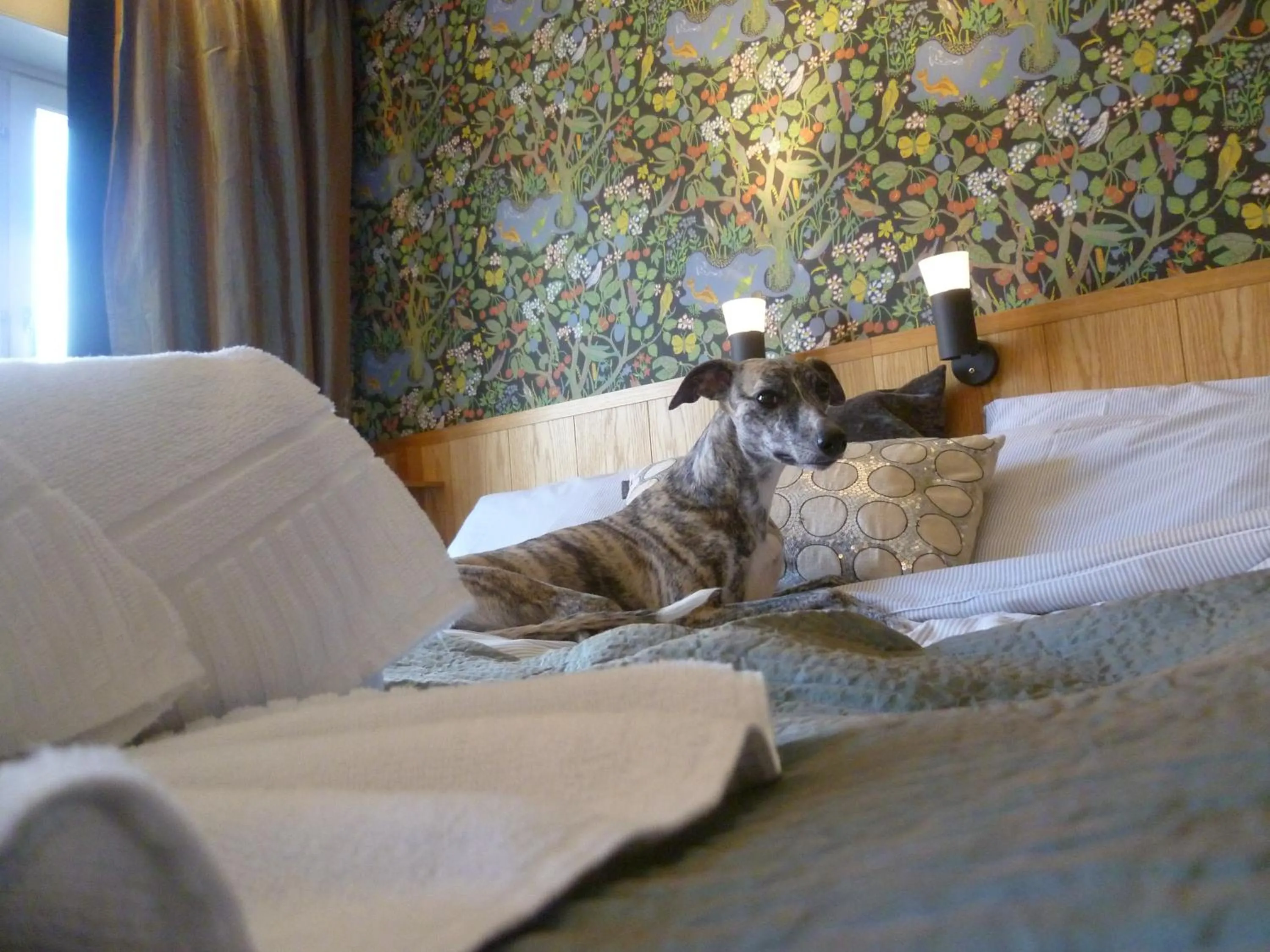 Bed in Sankt Olof Hotell & Krog