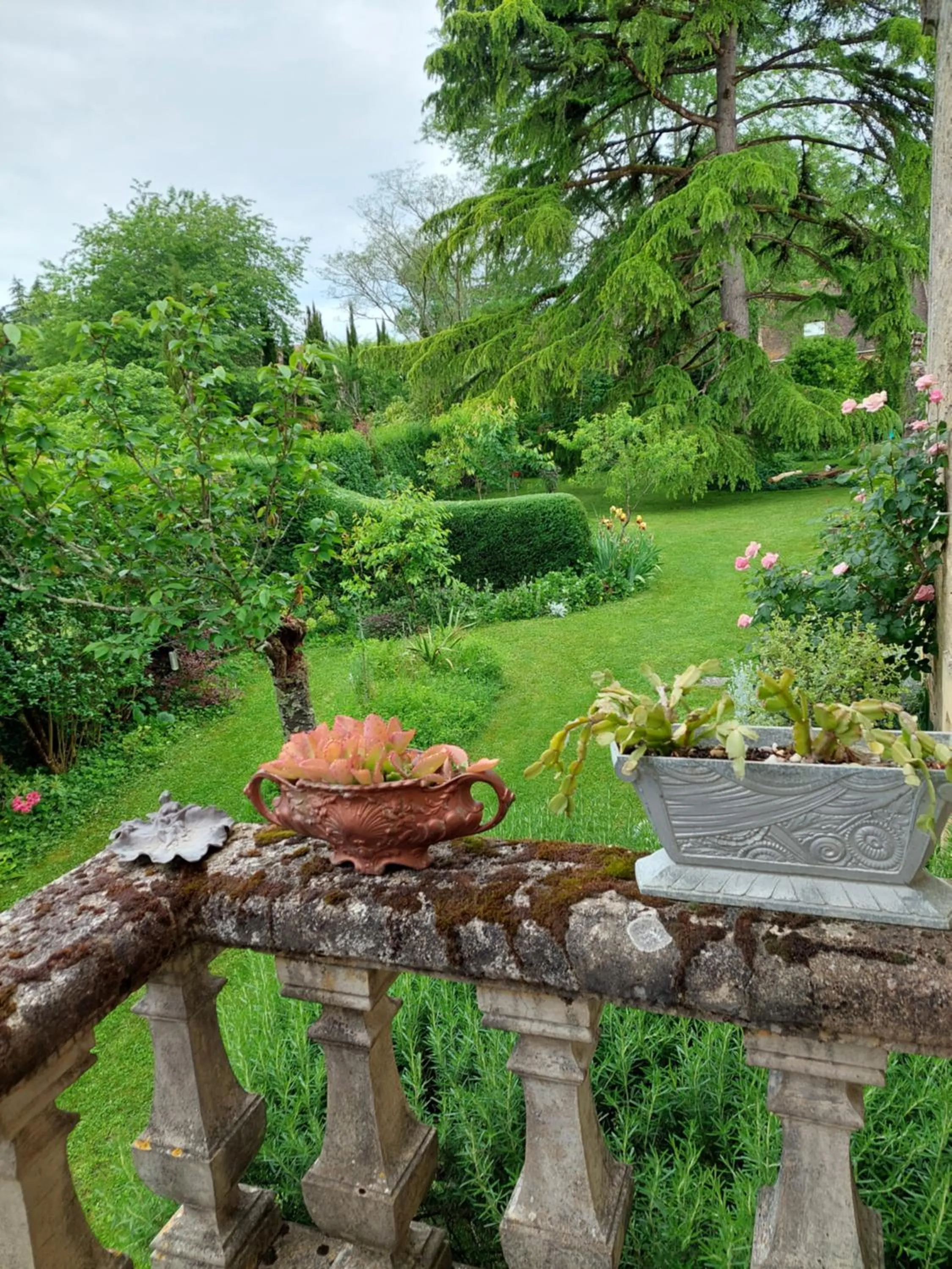 Garden view in Rue du Château