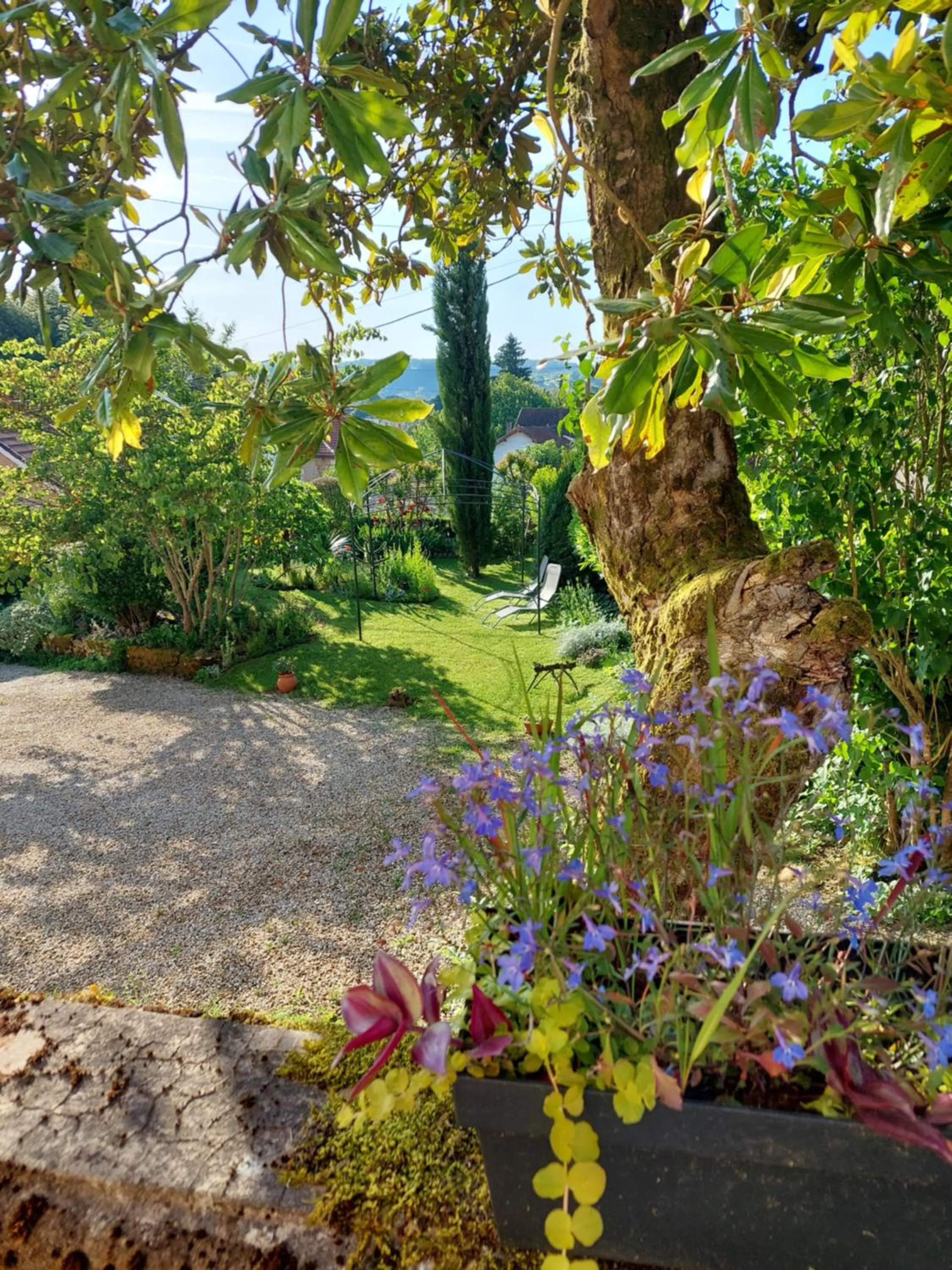 Garden view in Rue du Château