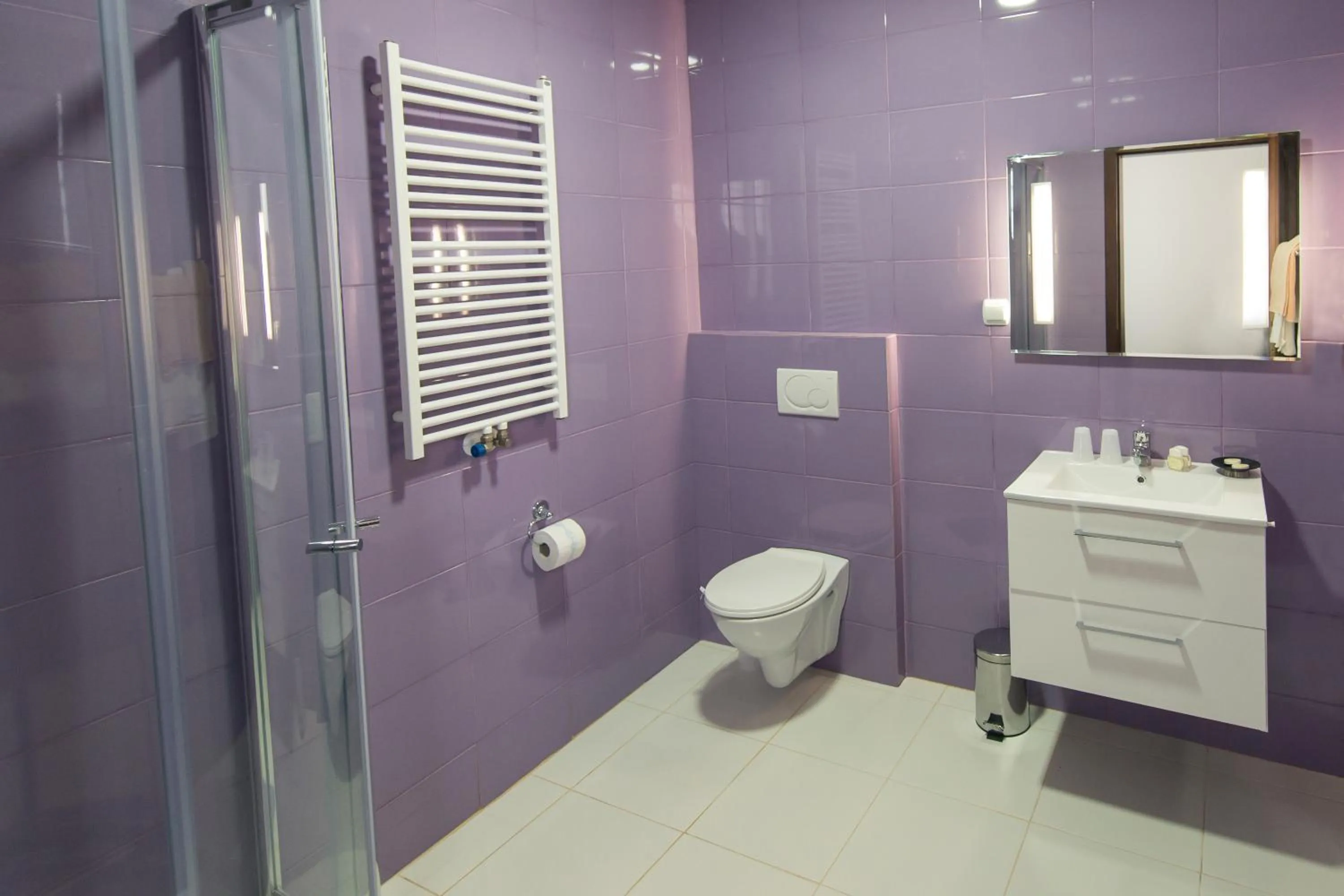 Bathroom in First Hotel