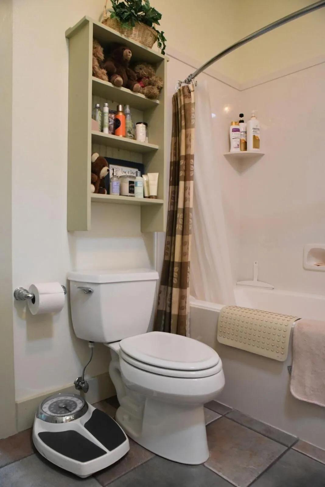 Harmony Belle at Kolob Canyon