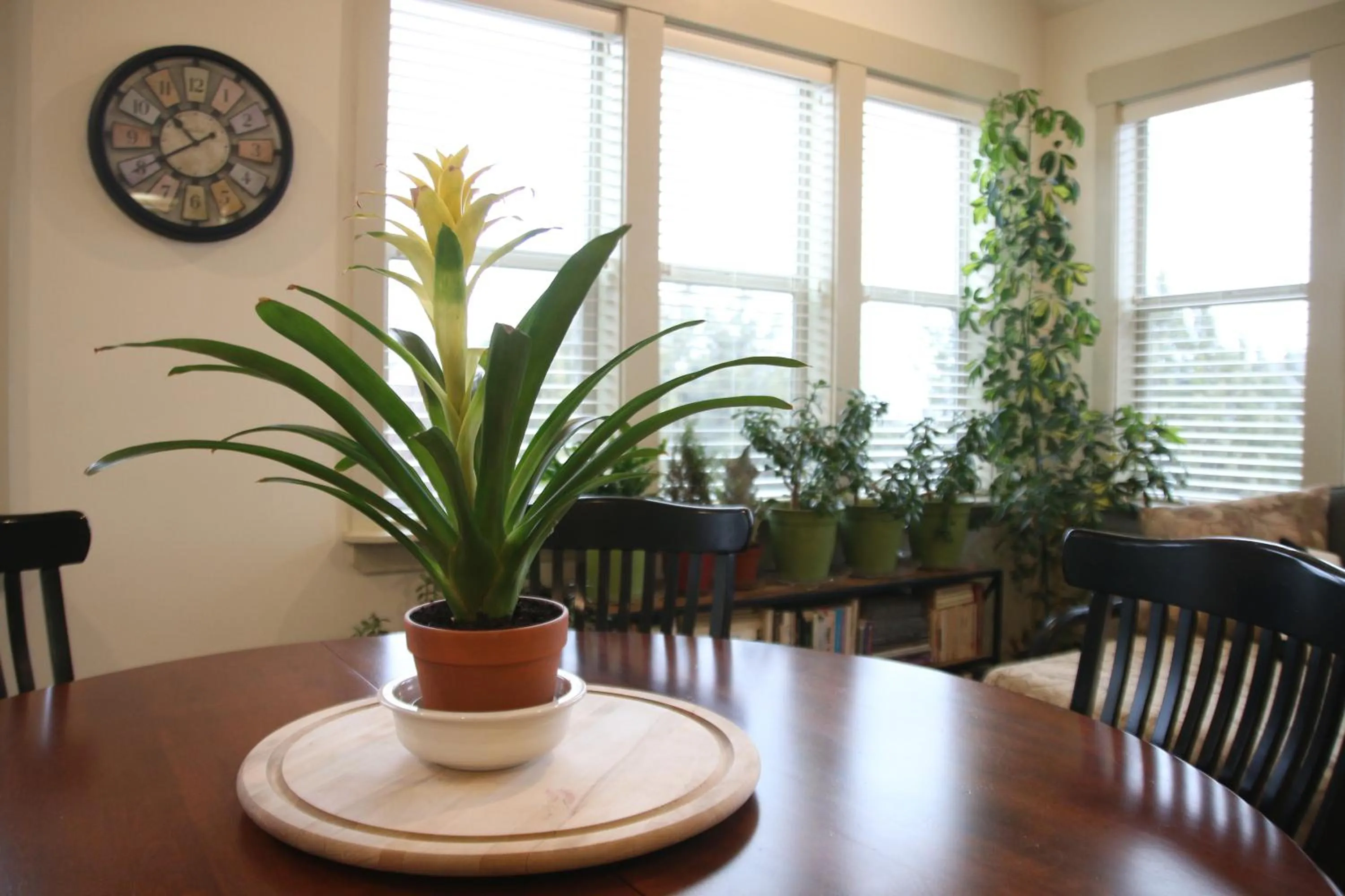 Breakfast in Harmony Belle at Kolob Canyon