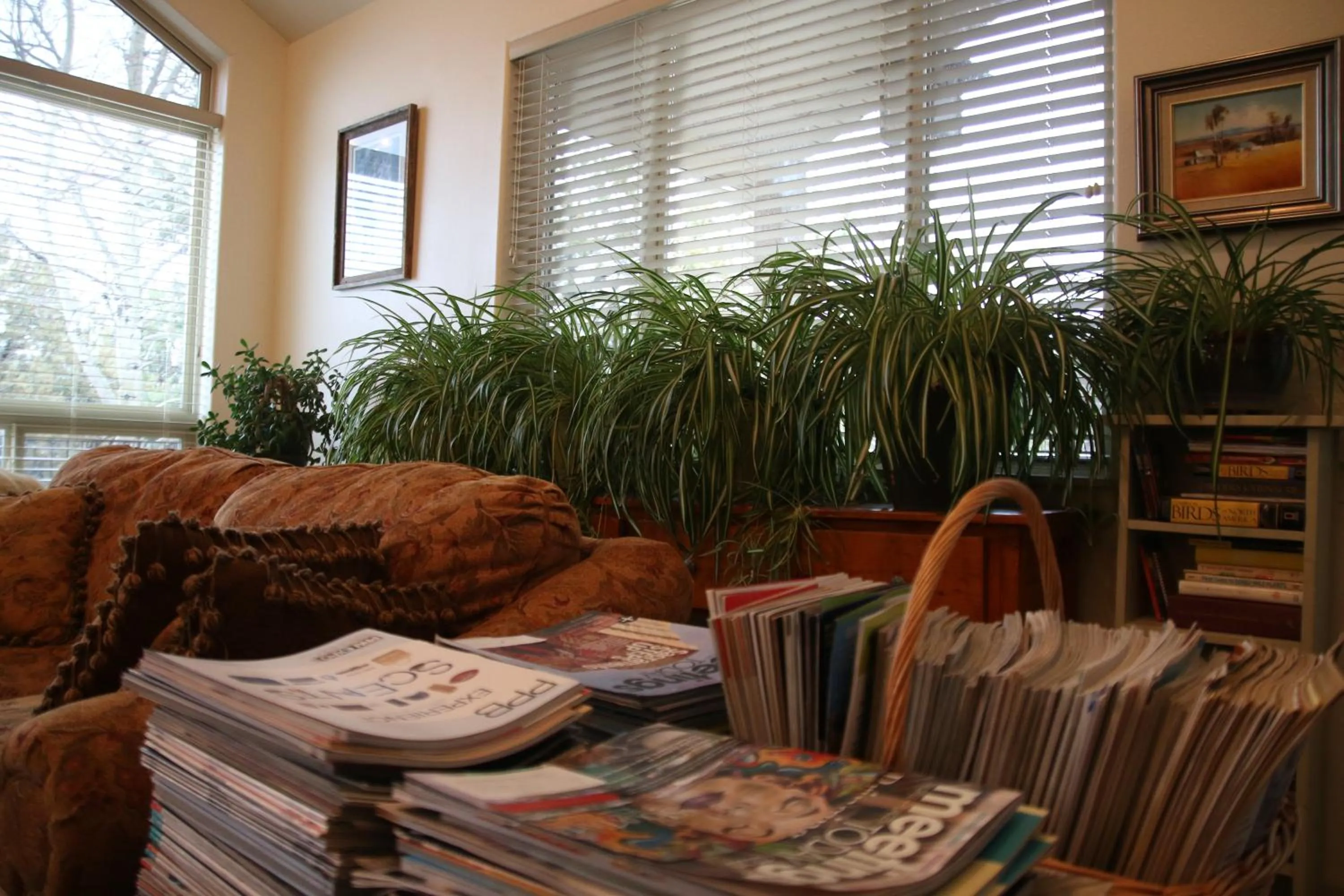 Breakfast in Harmony Belle at Kolob Canyon