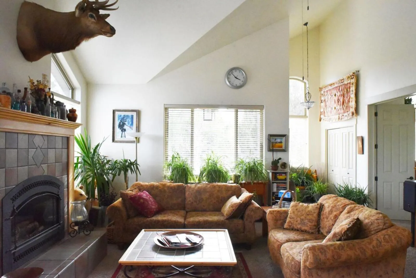 Harmony Belle at Kolob Canyon