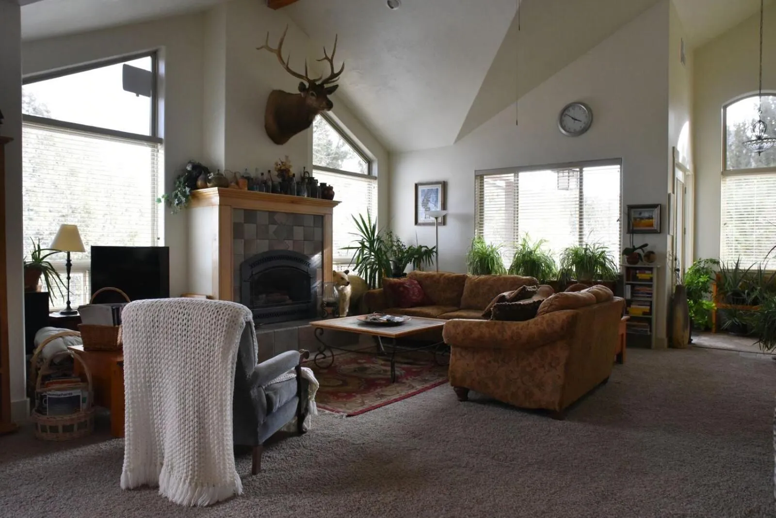 Harmony Belle at Kolob Canyon