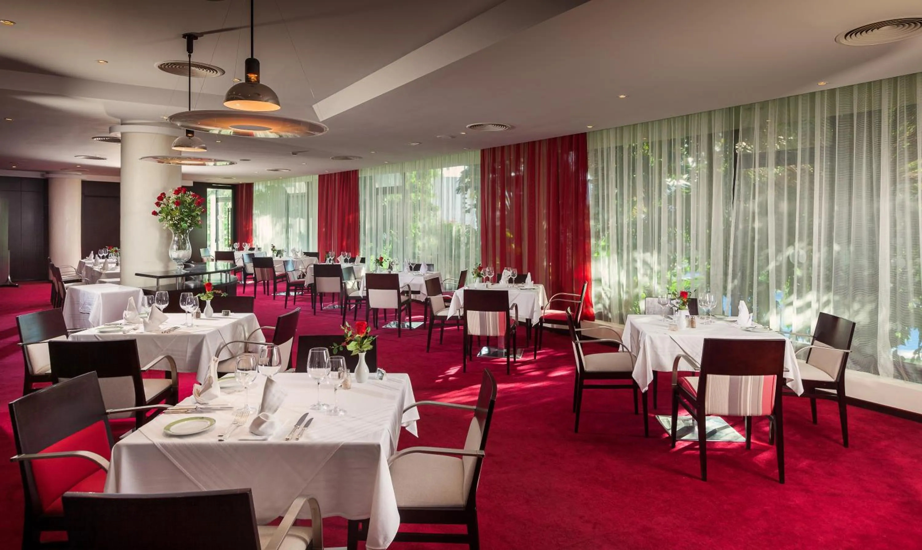 Restaurant/places to eat in Sentido Phenicia