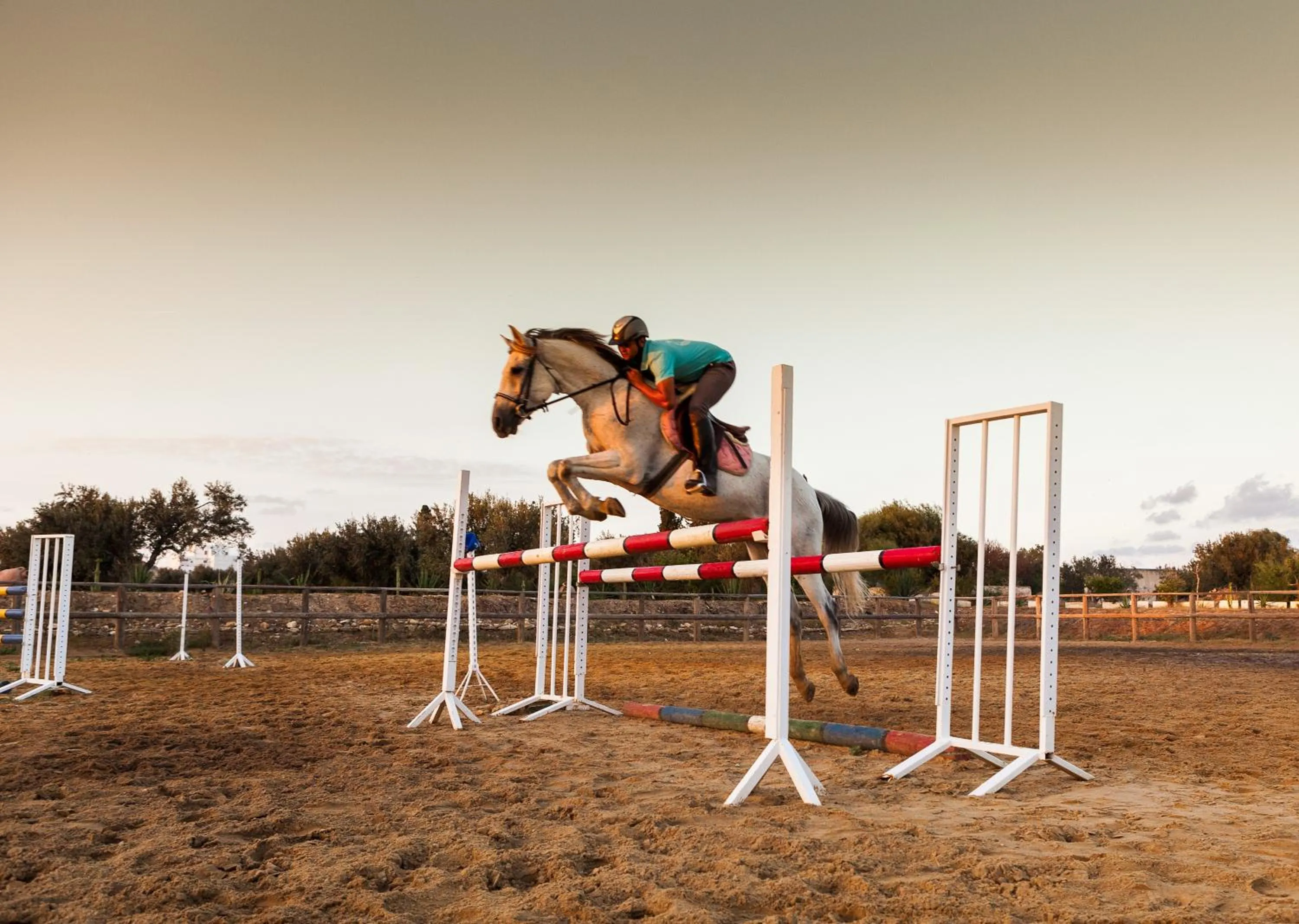 Horse-riding in Sentido Phenicia