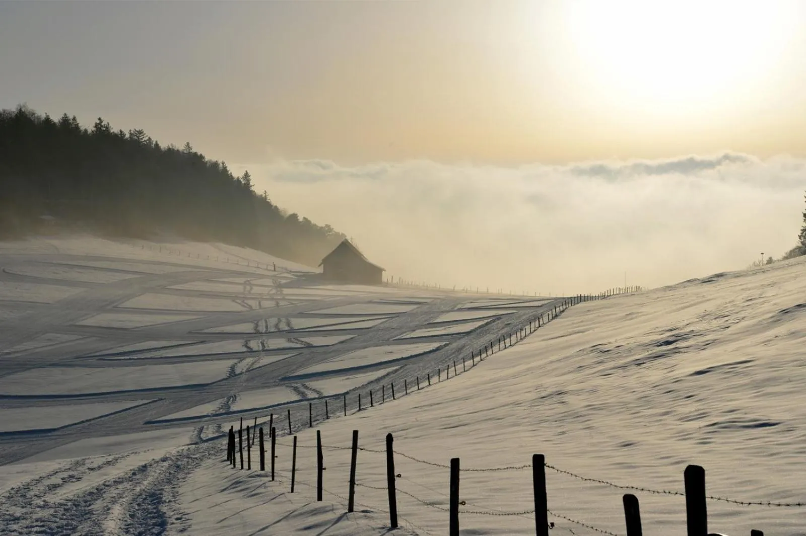 Natural landscape in Hotel Bad Ramsach