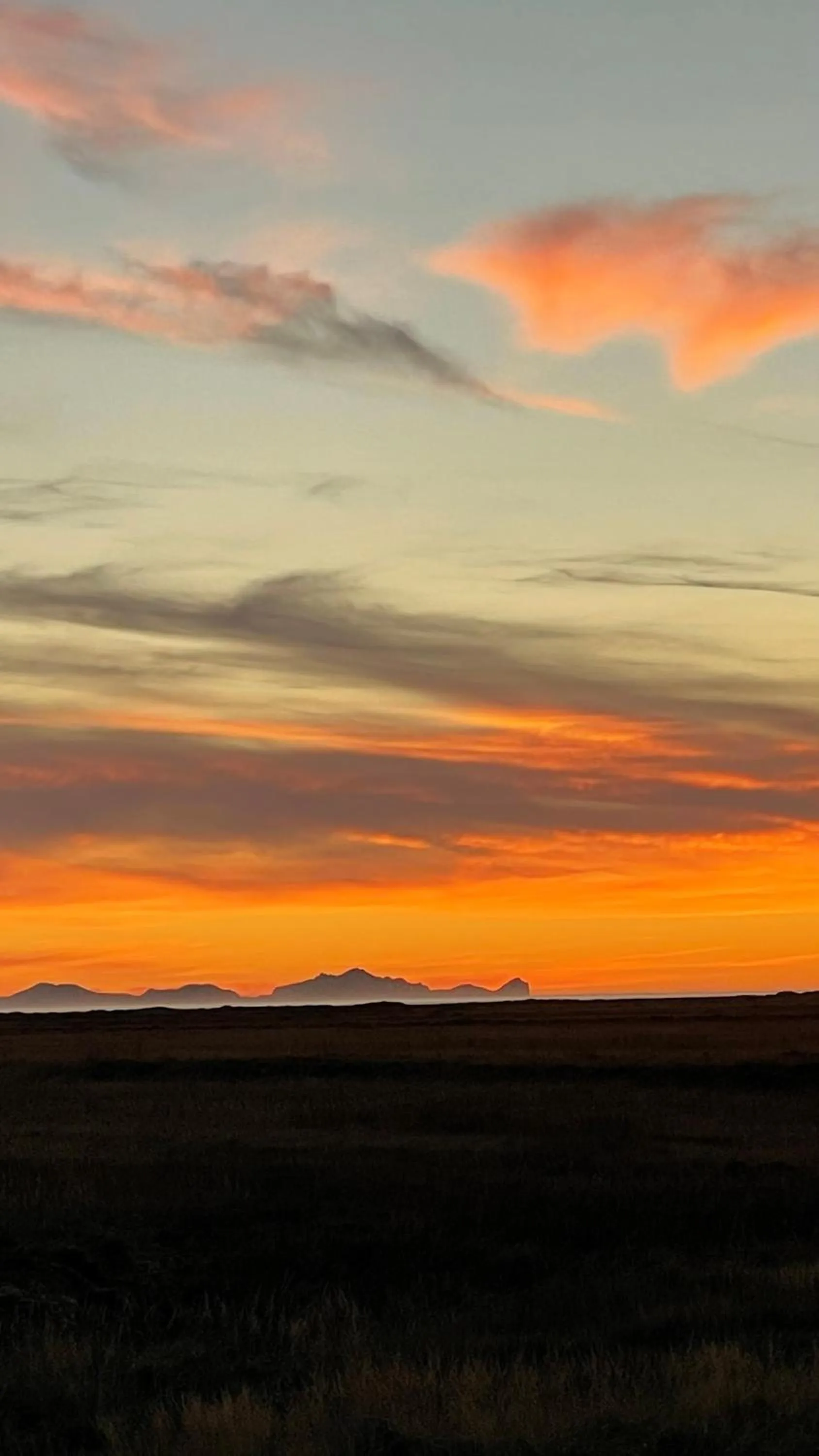 View (from property/room) in Umi Hotel