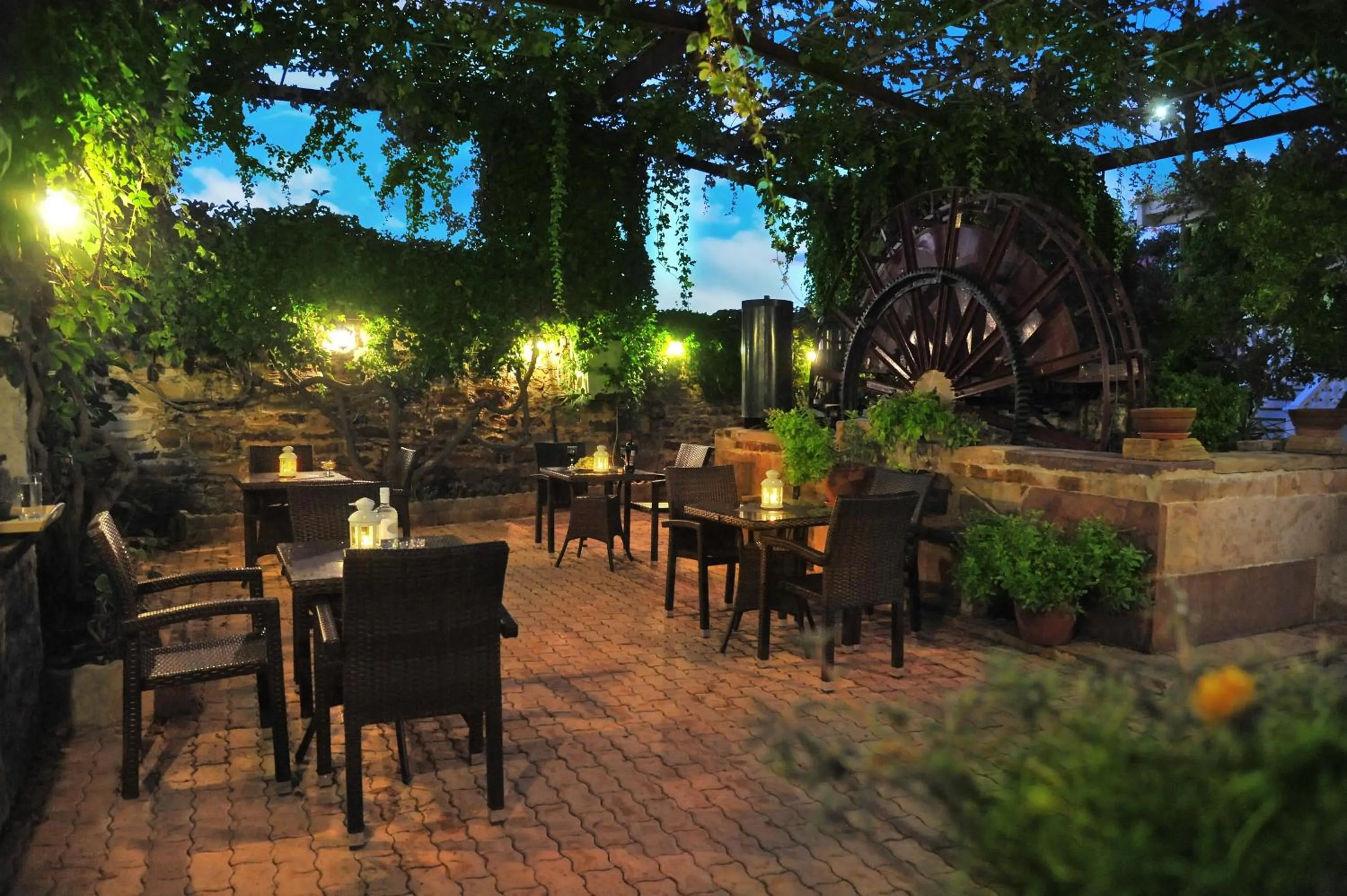 Garden in Voulamandis House