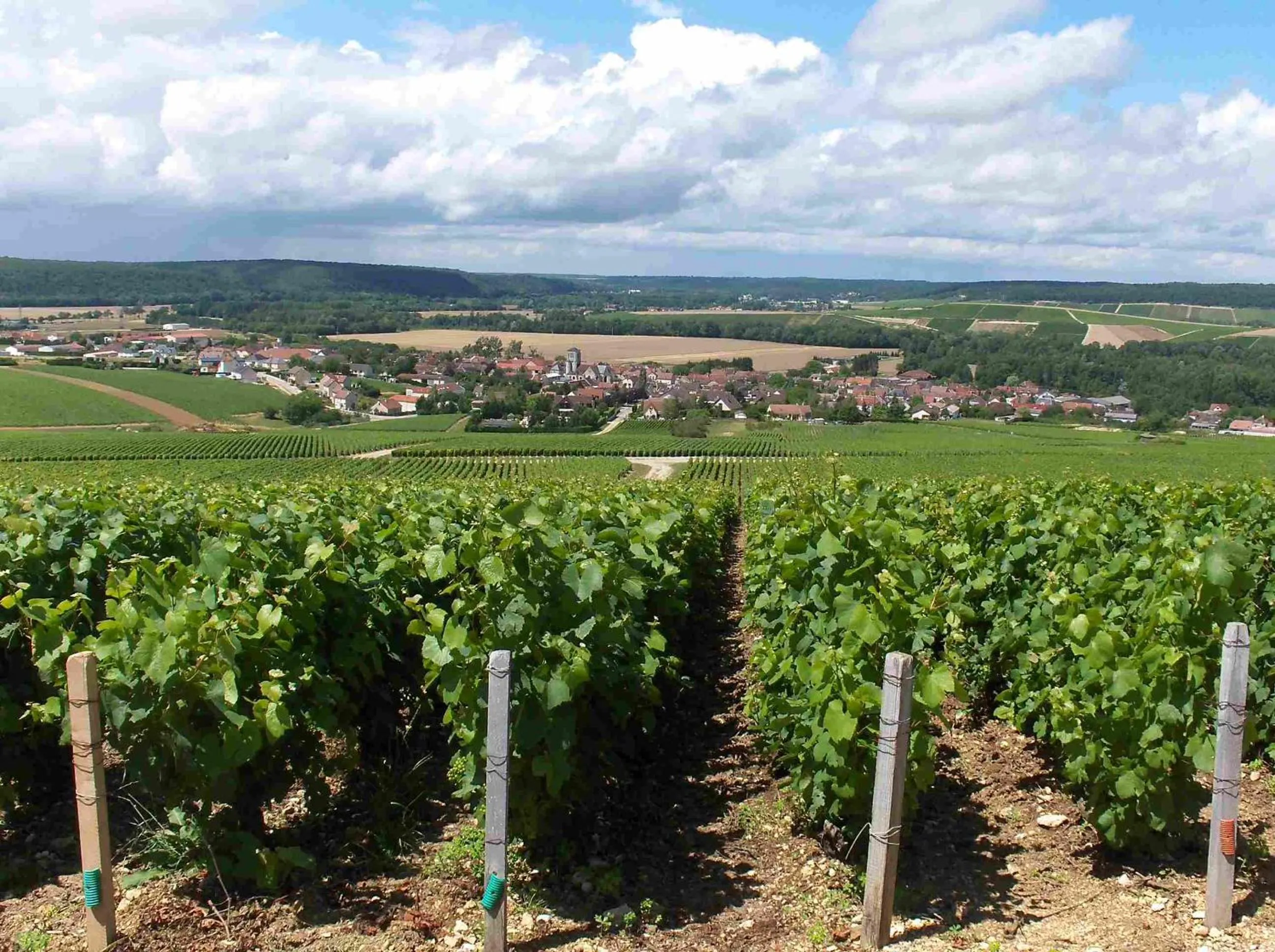 Off site in Tour Hôtel