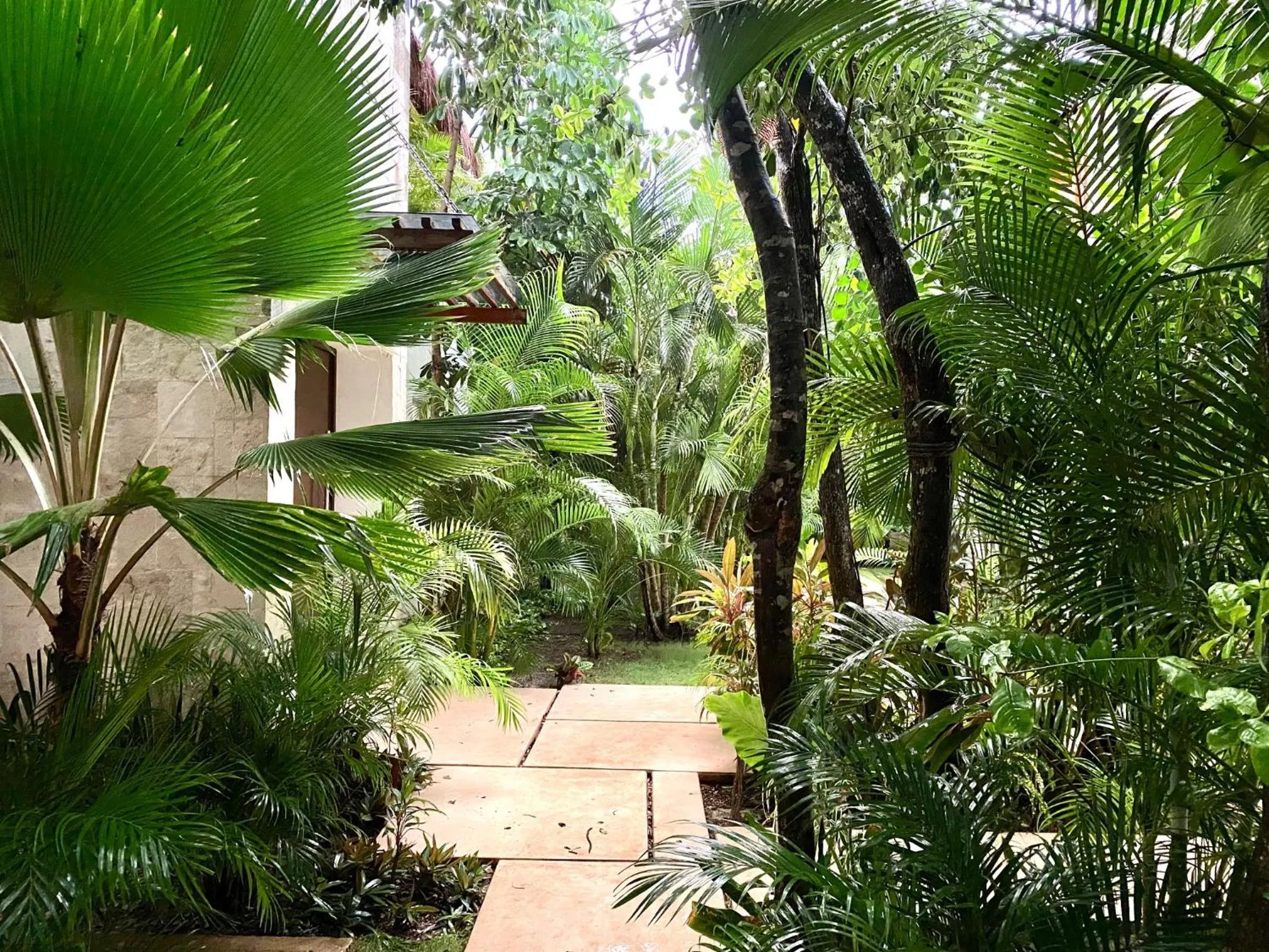 Garden in Luxury Private Villas , Private Pool, Private garden, Jacuzzi, 24hours security