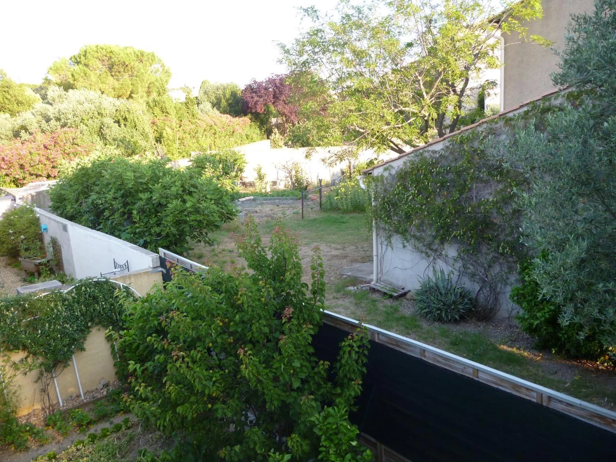 Garden view in Chez Patrick Roujan