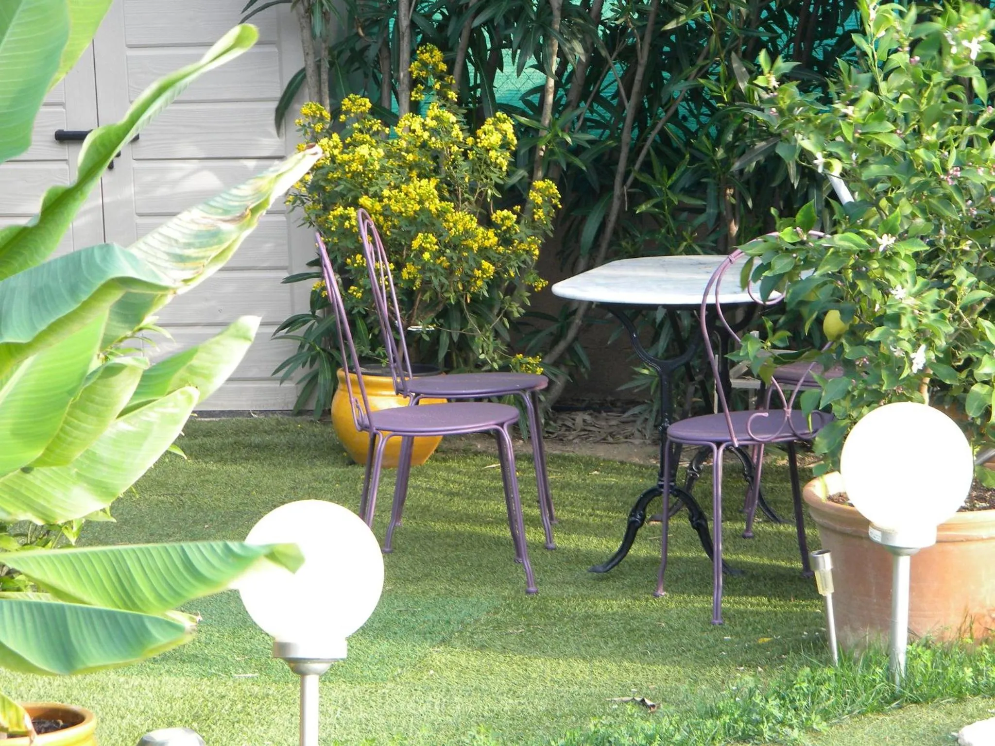 Garden view in Chez Patrick Roujan