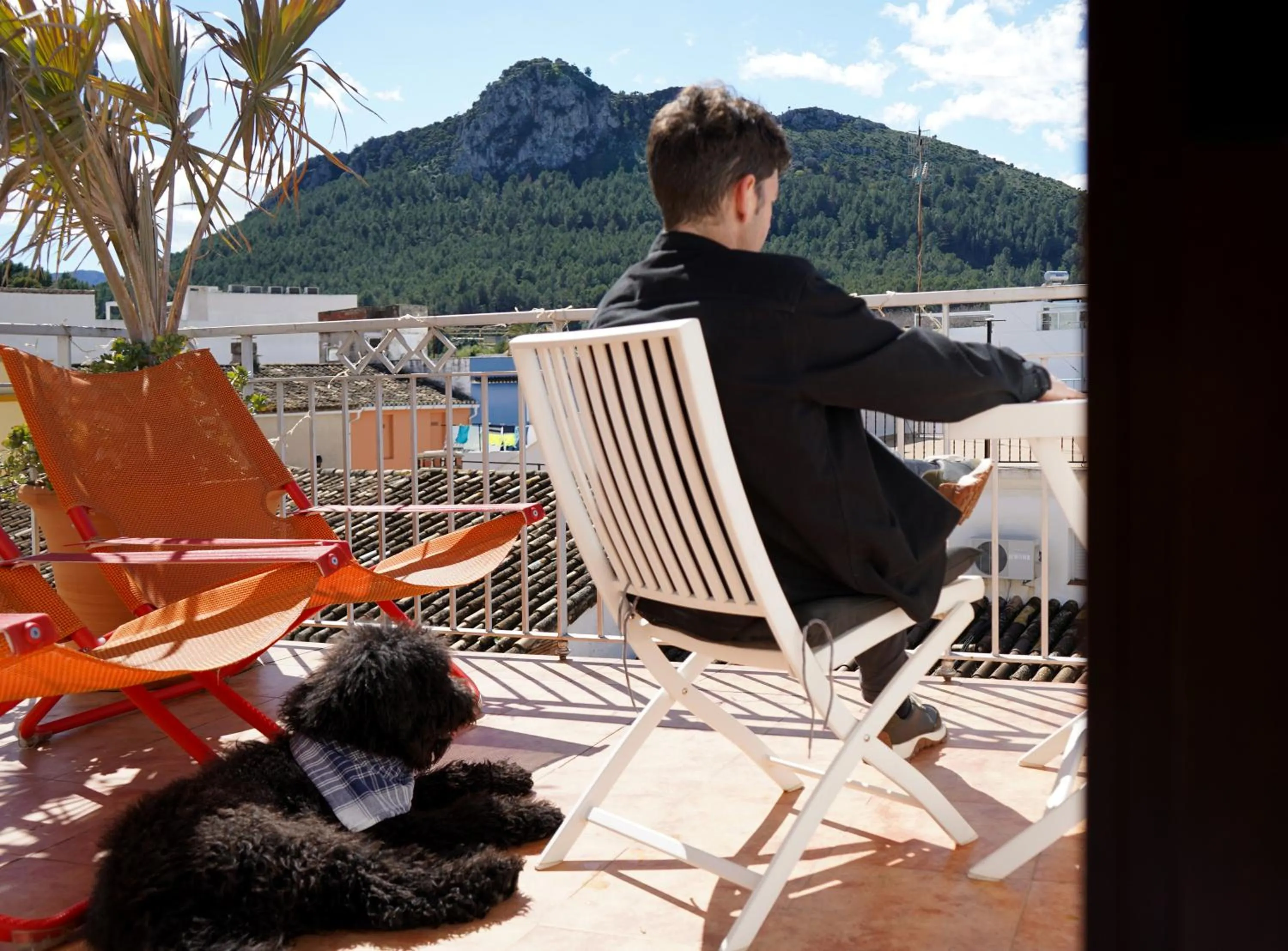 Pets in Mardenit Hotel Boutique